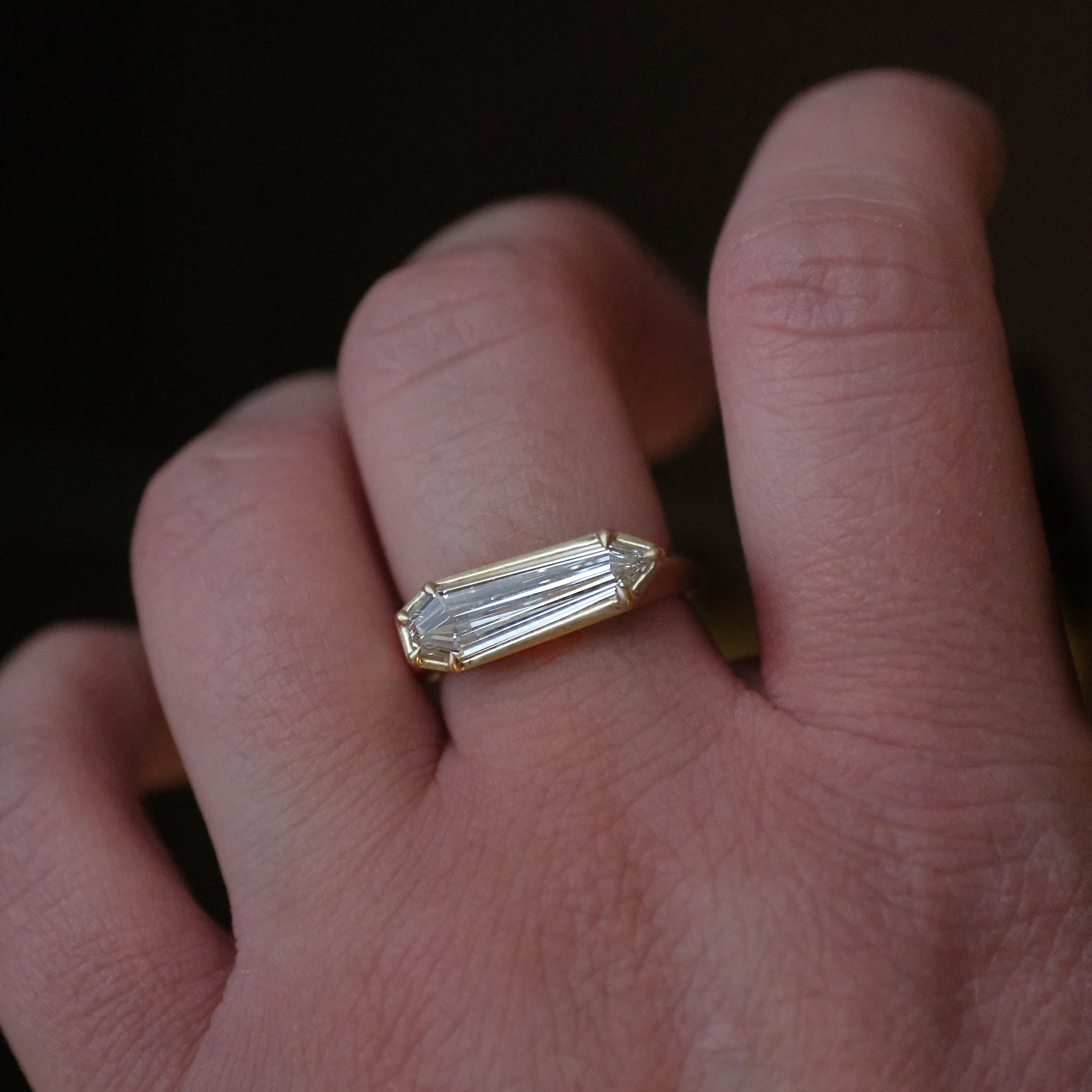 14k + Lab Diamond Nyx Ring