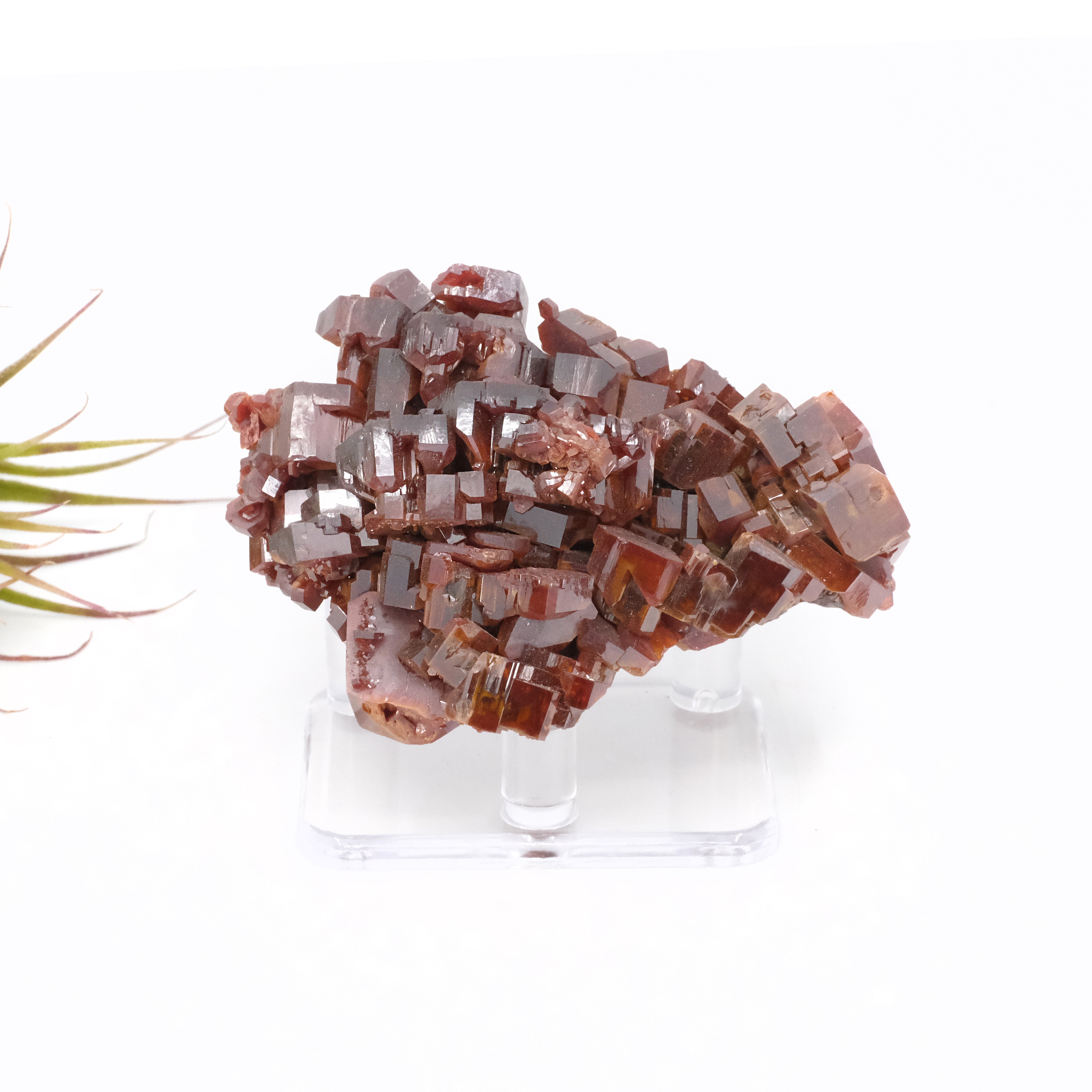 Moroccan AA Vanadinite Specimen