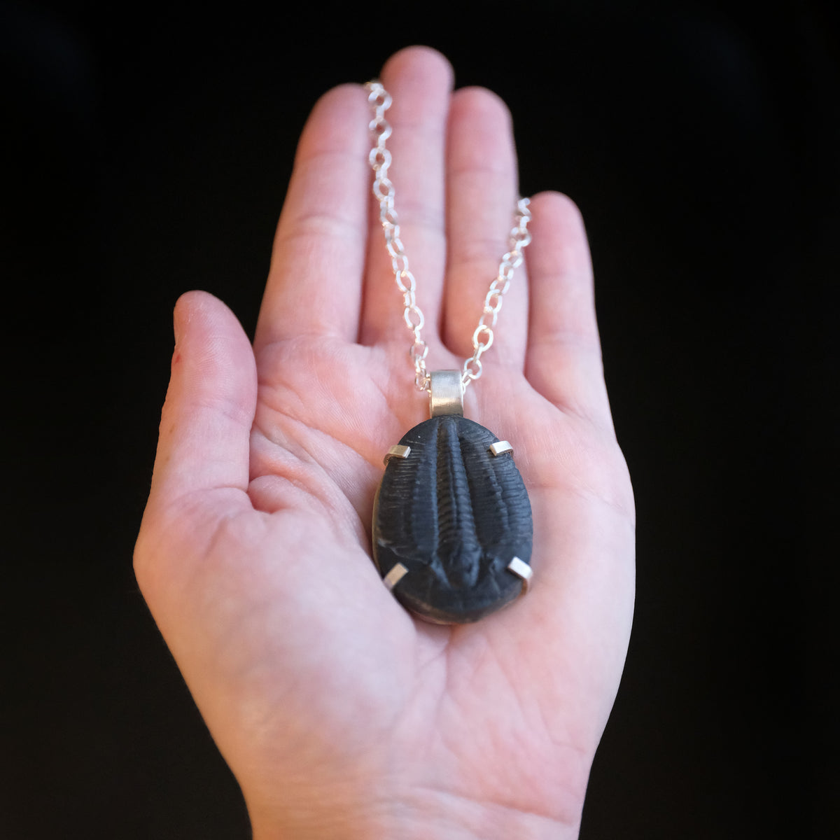 Trilobite Fossil Midnight Necklace - One of a Kind