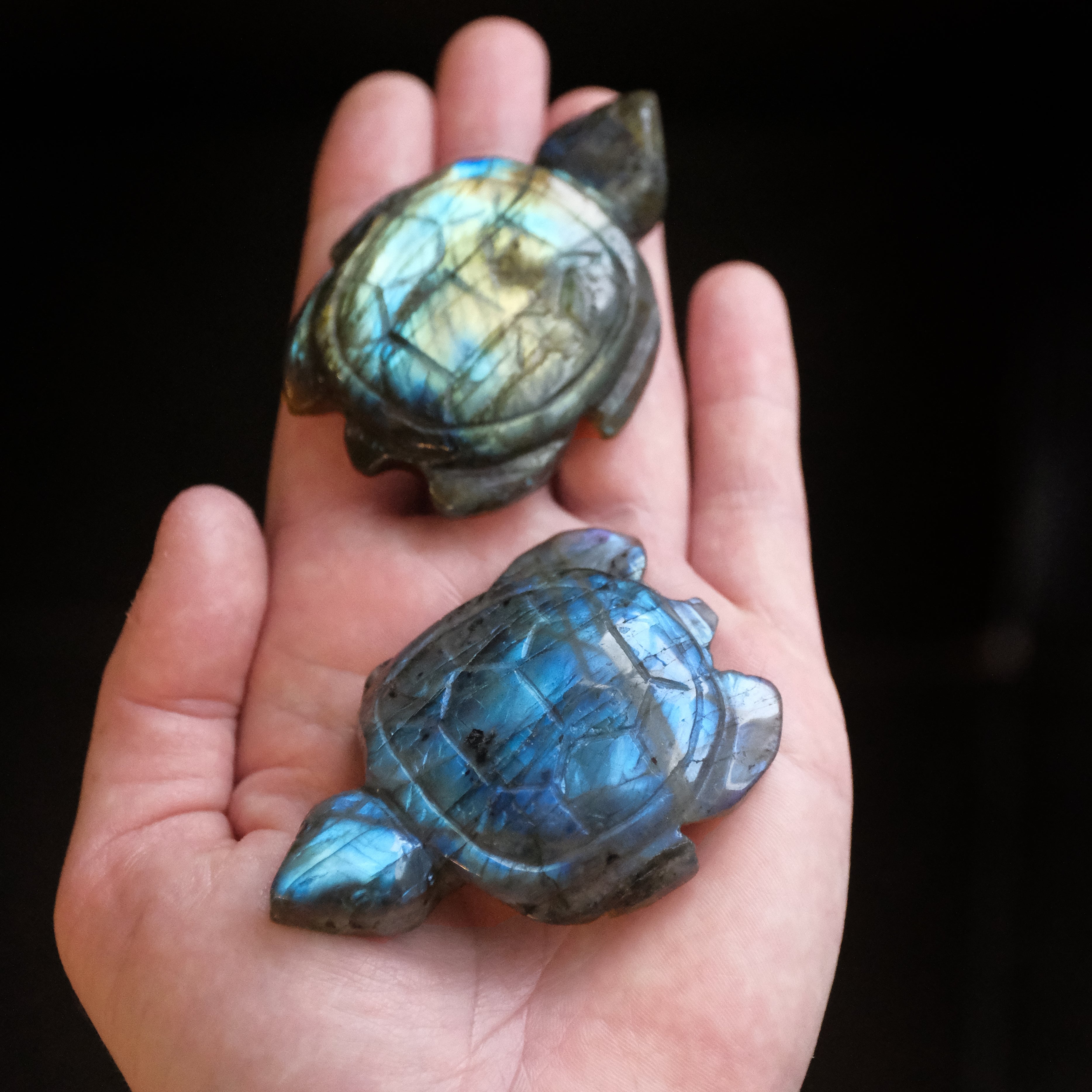 Hand Carved Labradorite Turtle