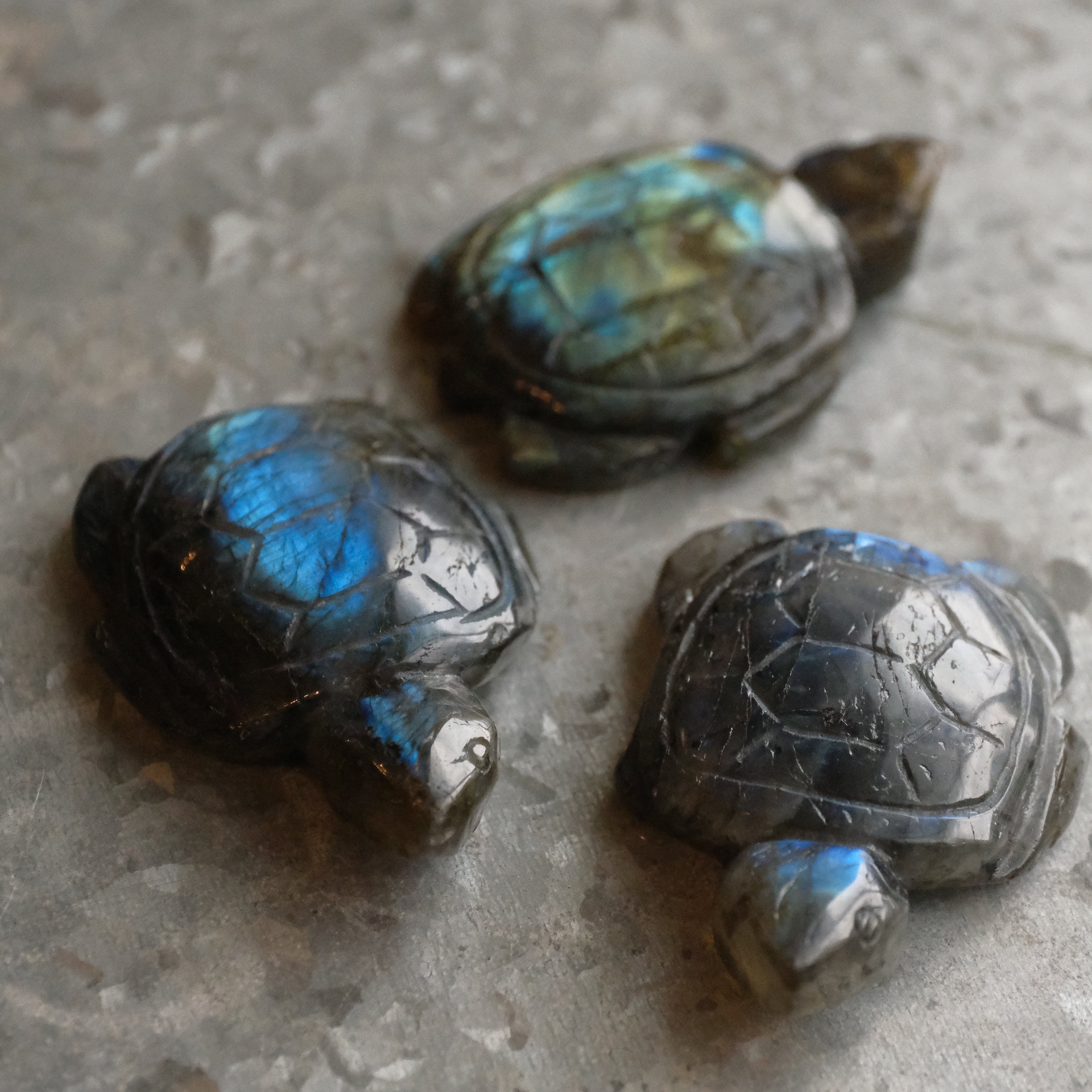 Hand Carved Labradorite Turtle