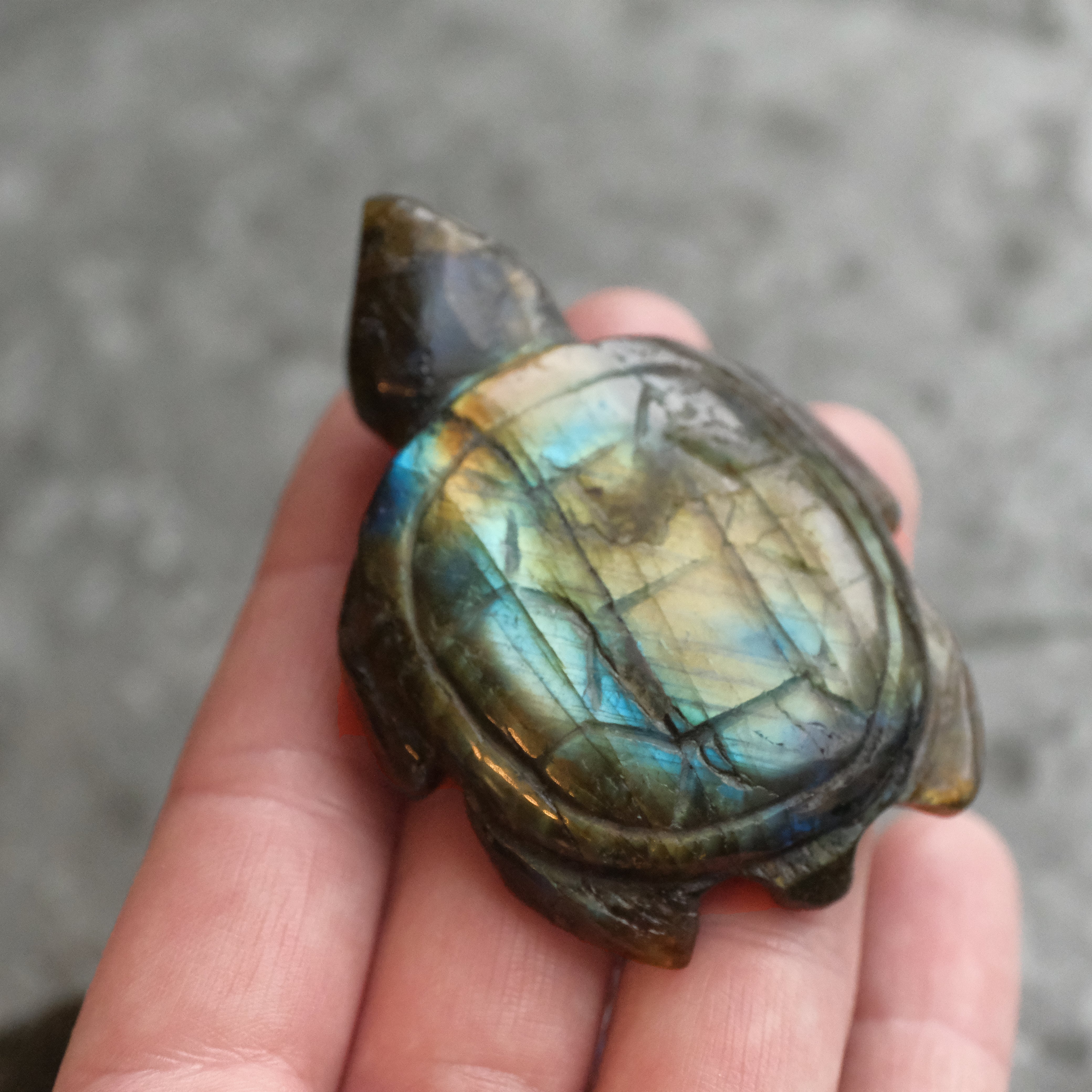 Hand Carved Labradorite Turtle