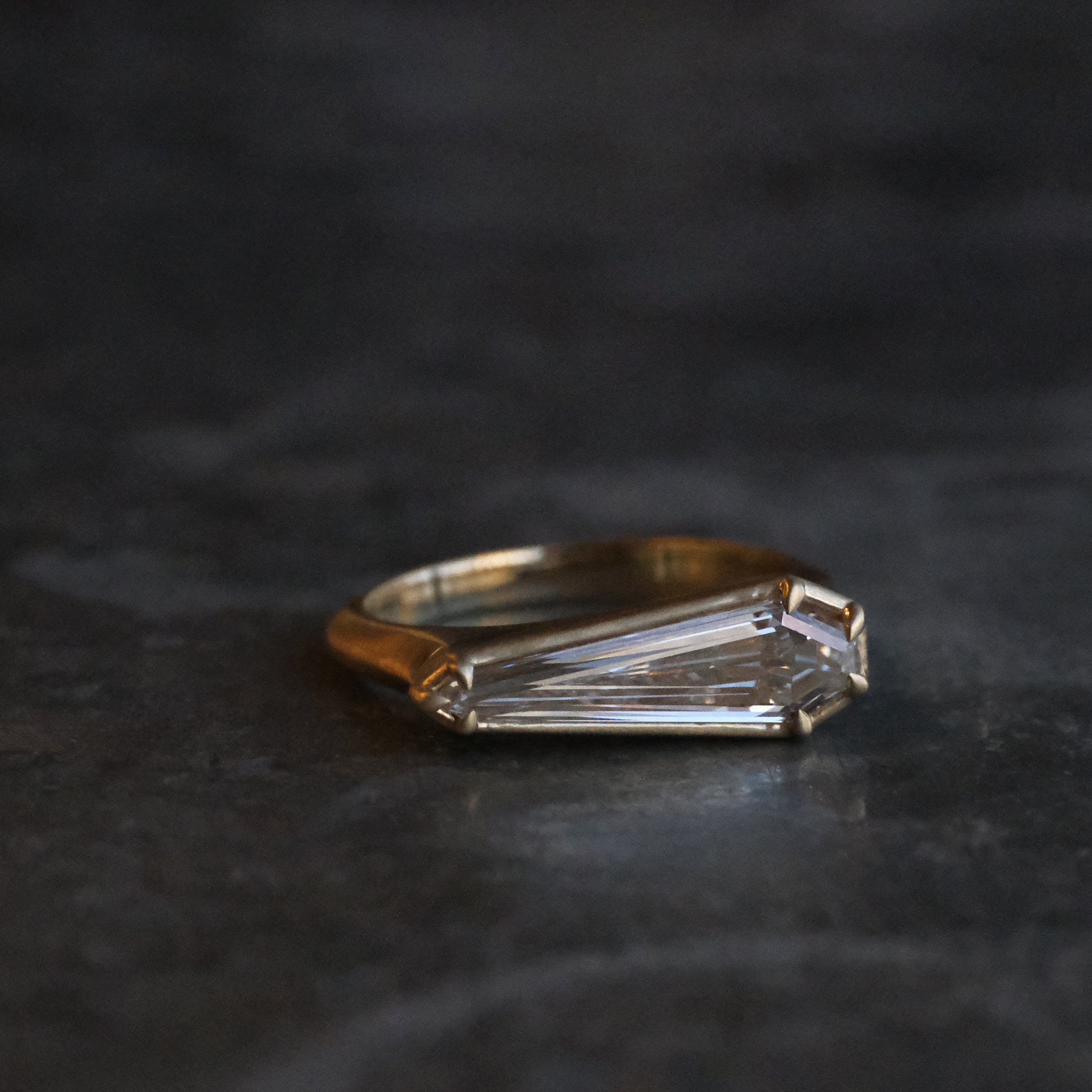 14k + Lab Diamond Nyx Ring