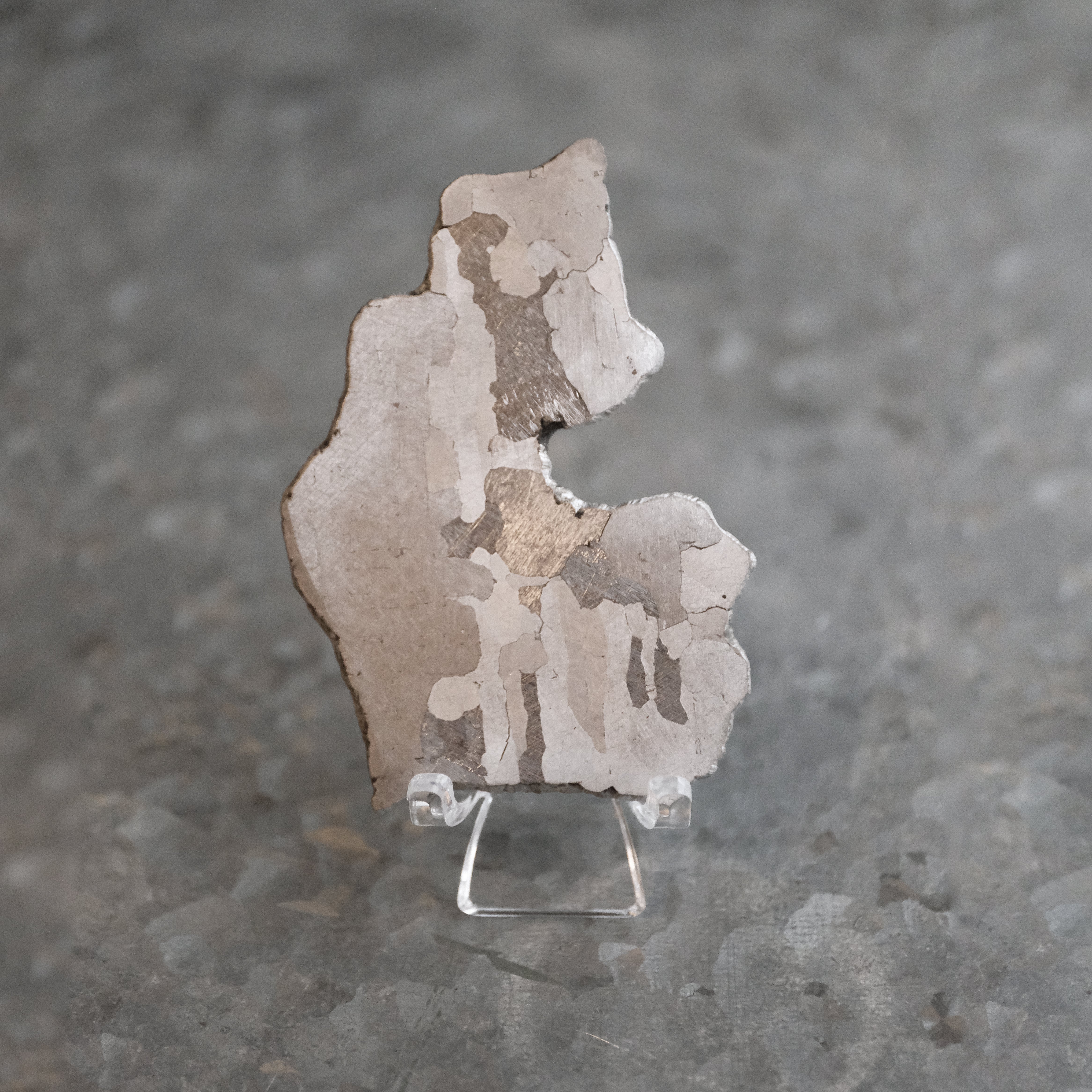 Argentinian Campo del Cielo Meteorite Specimen