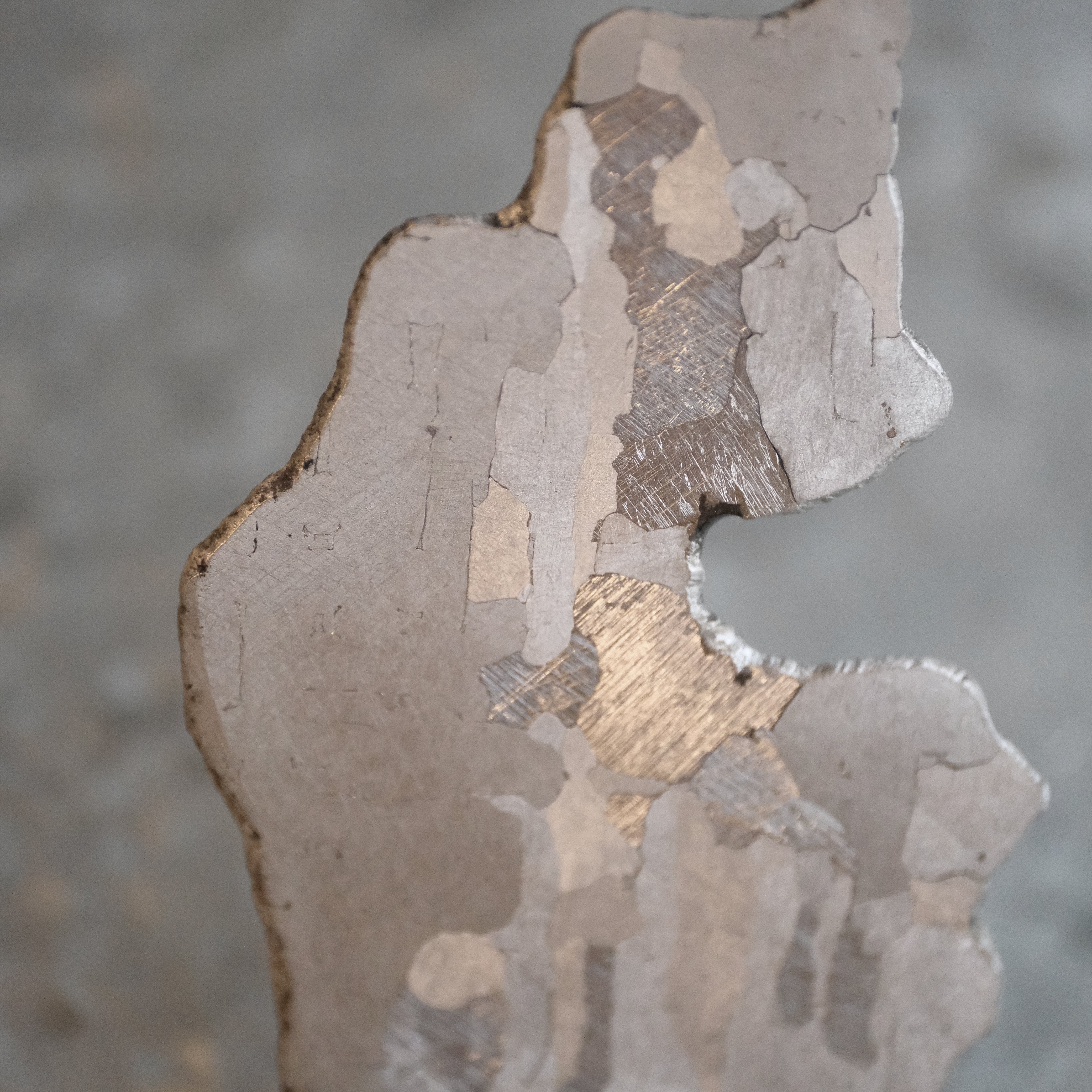 Argentinian Campo del Cielo Meteorite Specimen