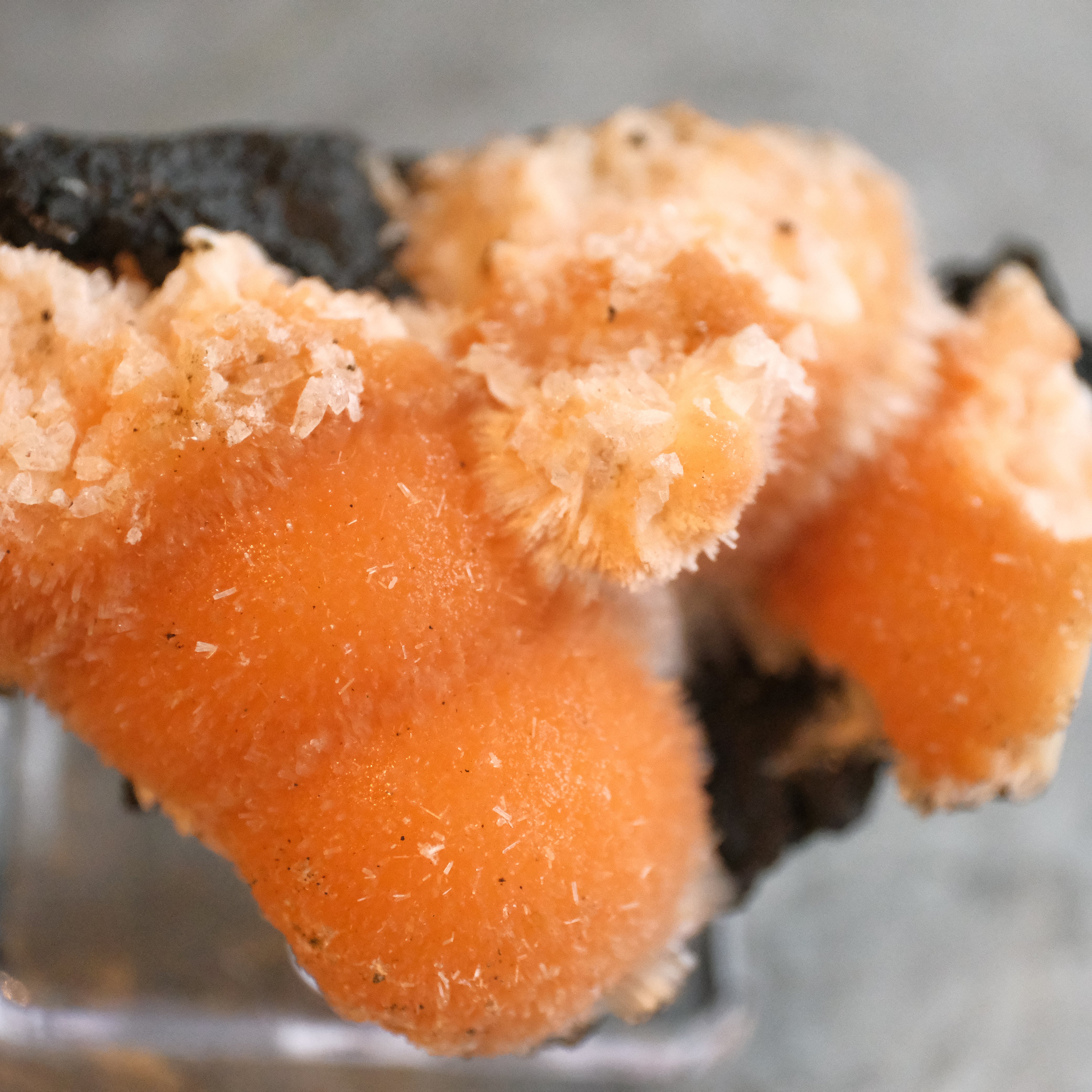 Indian Thomsonite + Mesolite Specimen