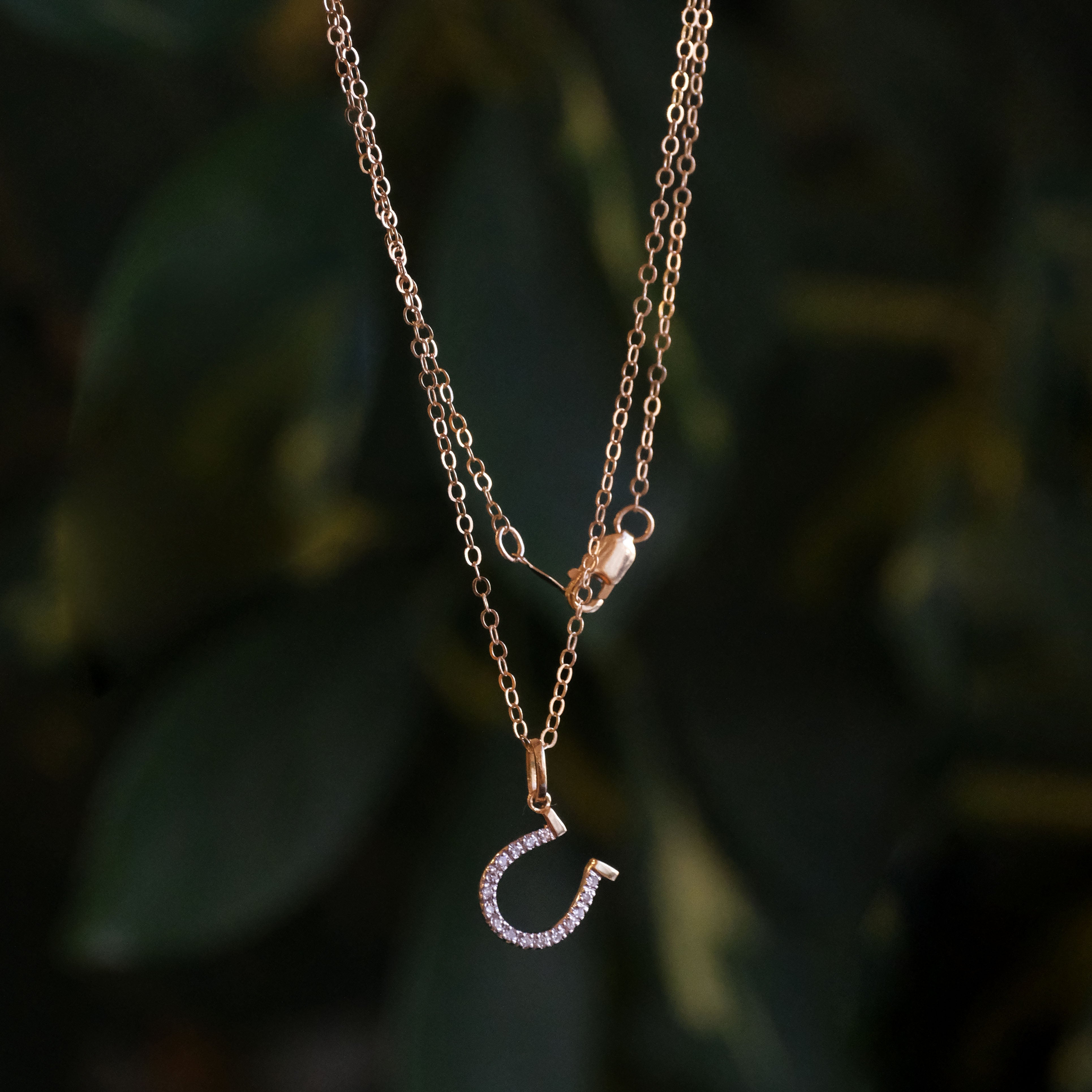 14k + Diamond Lucky Horseshoe Necklace