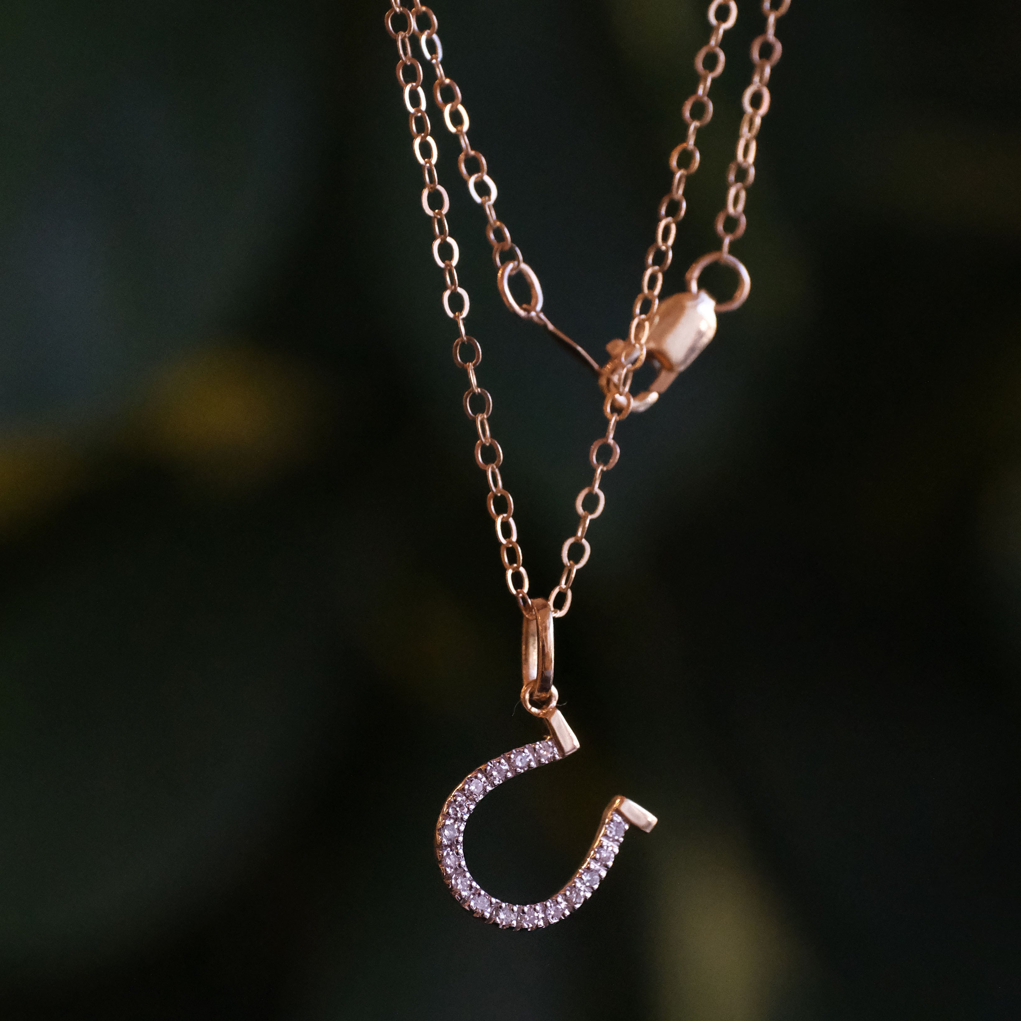 14k + Diamond Lucky Horseshoe Necklace