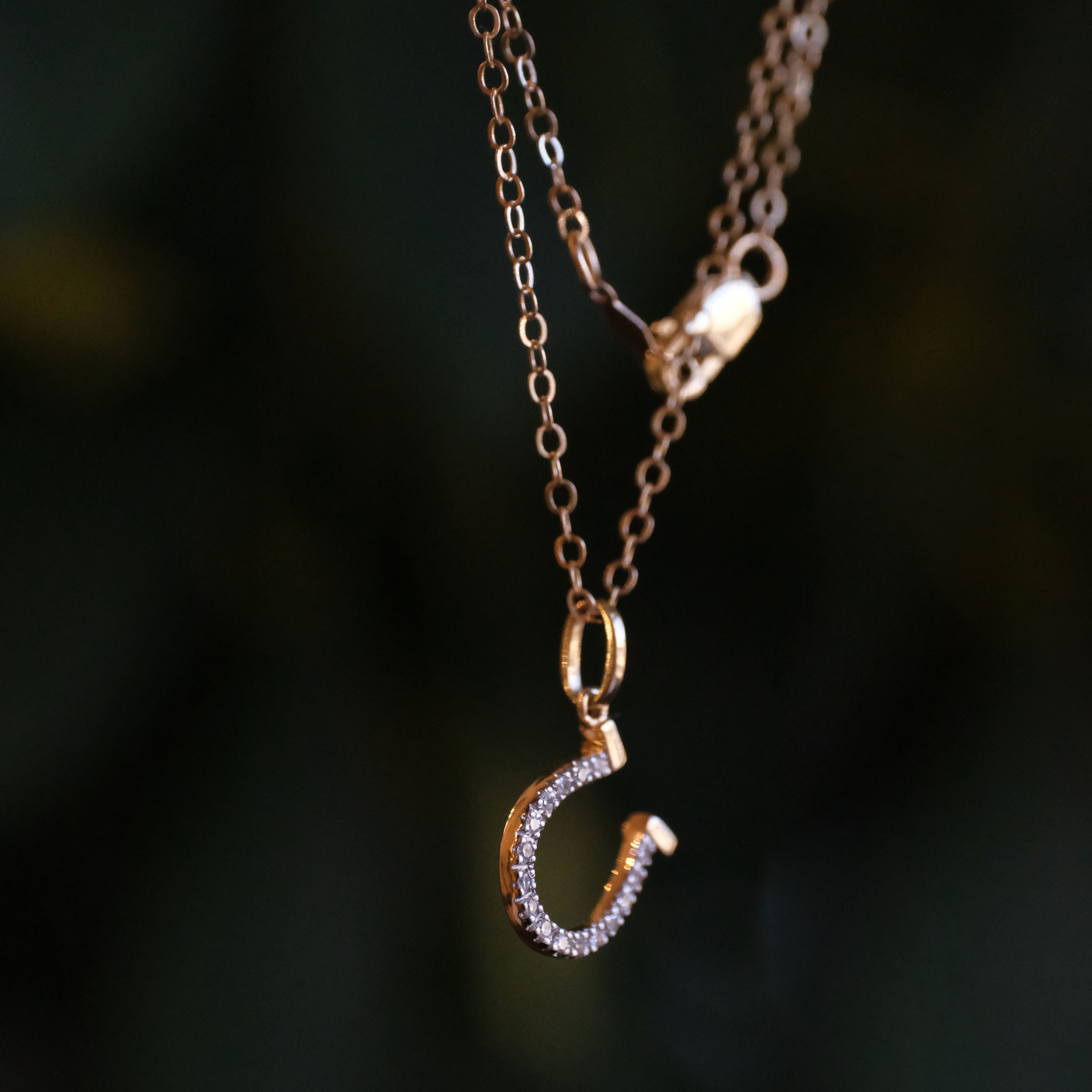 14k + Diamond Lucky Horseshoe Necklace