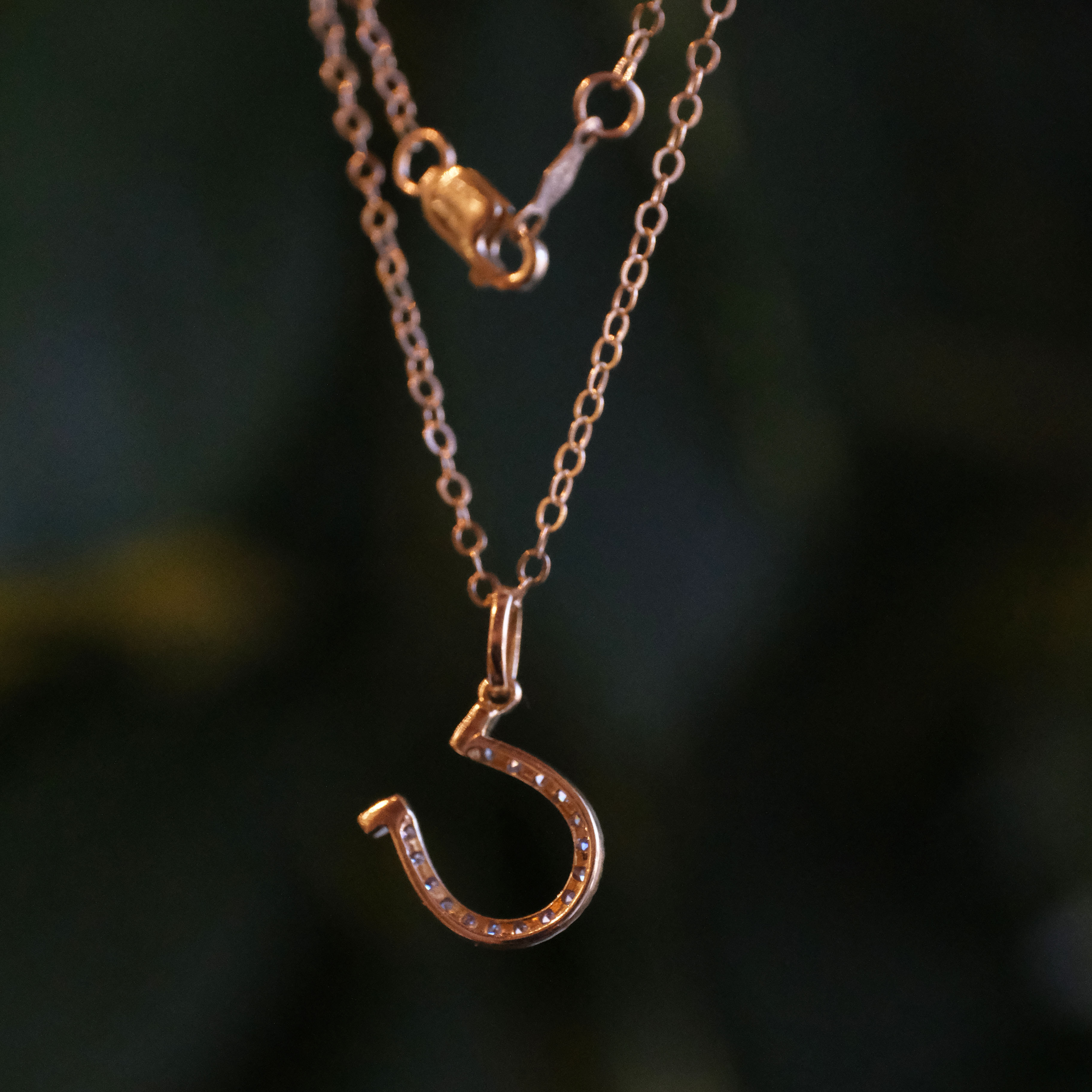 14k + Diamond Lucky Horseshoe Necklace