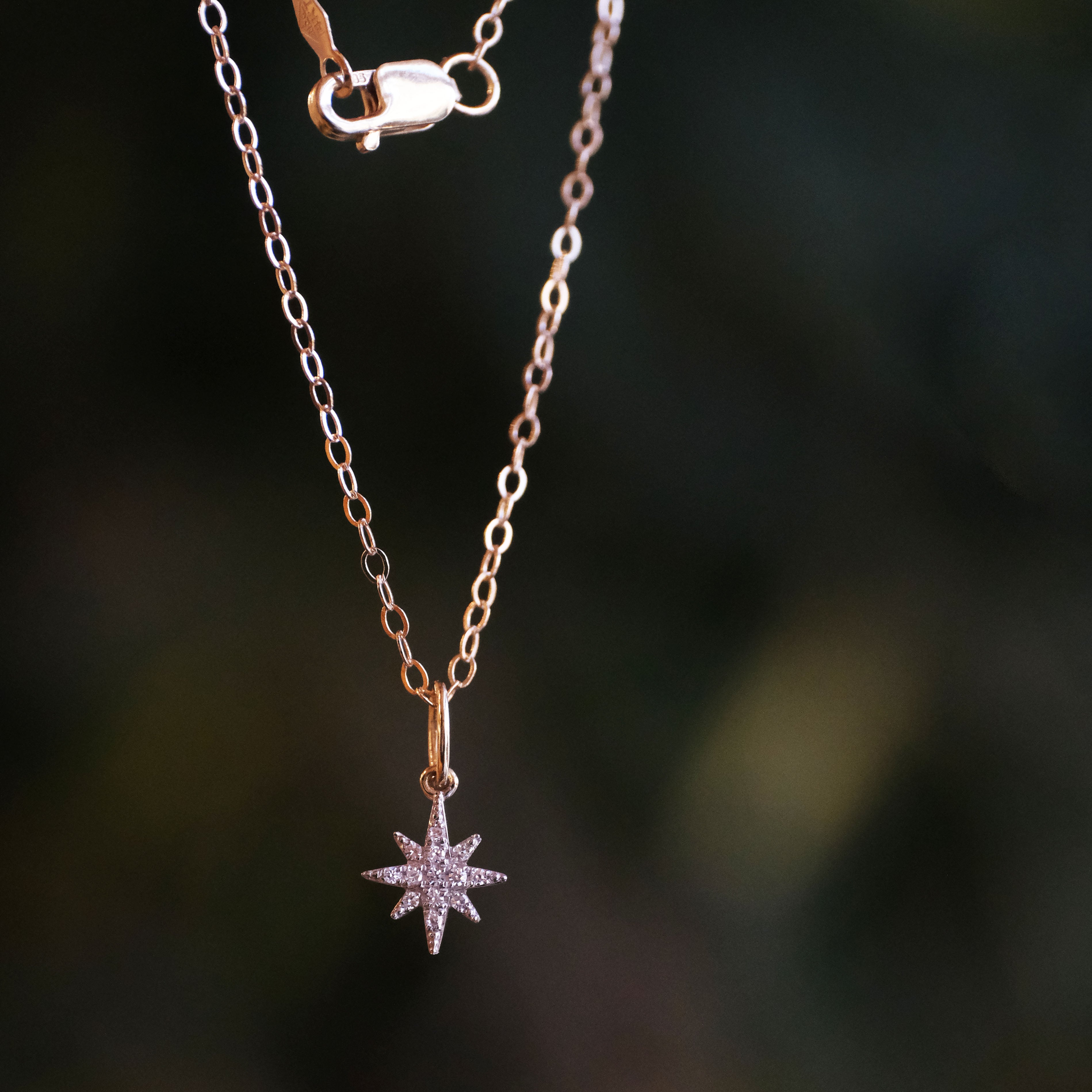 14k + Natural Diamond North Star Necklace