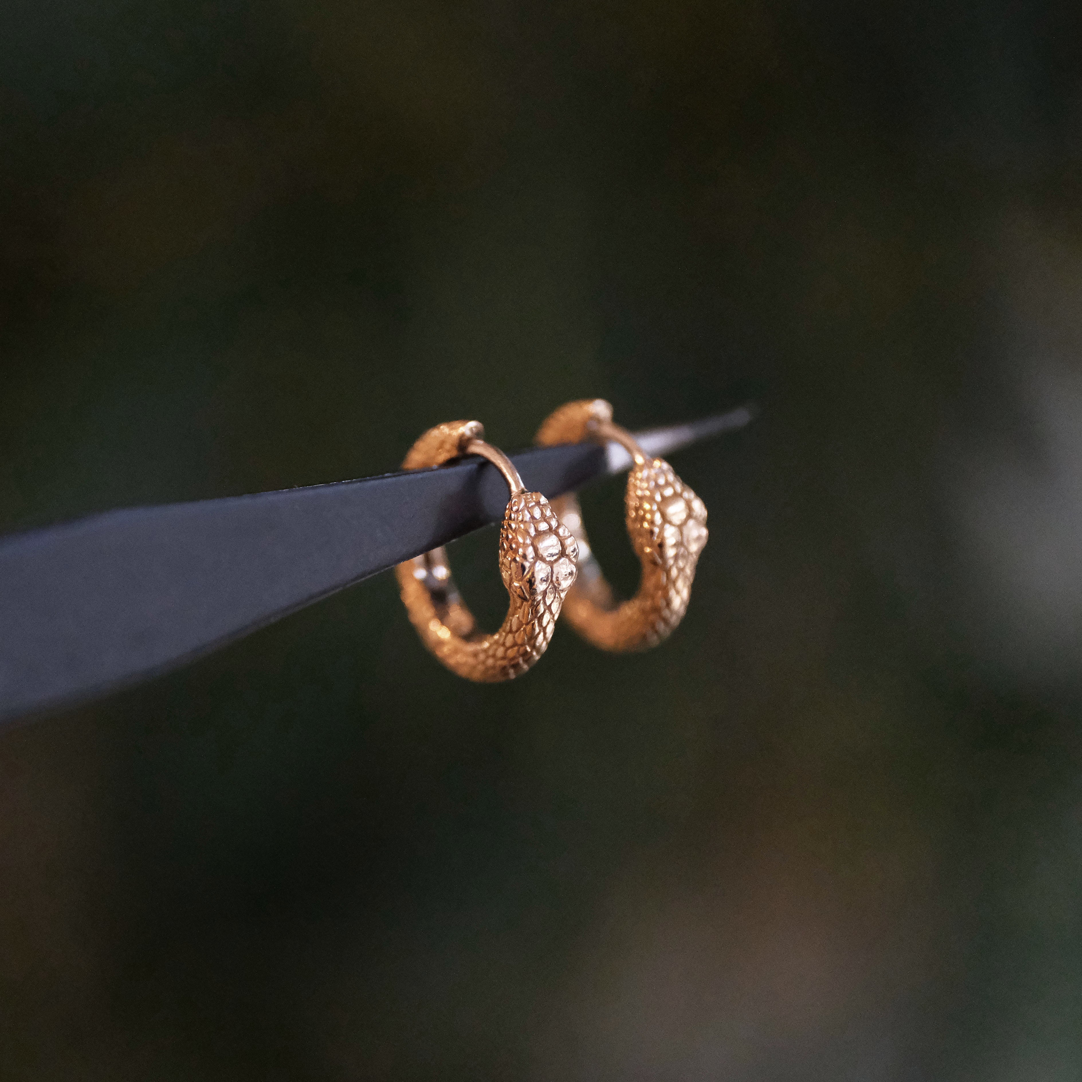 Bronze + Sterling Ouroboros Huggers