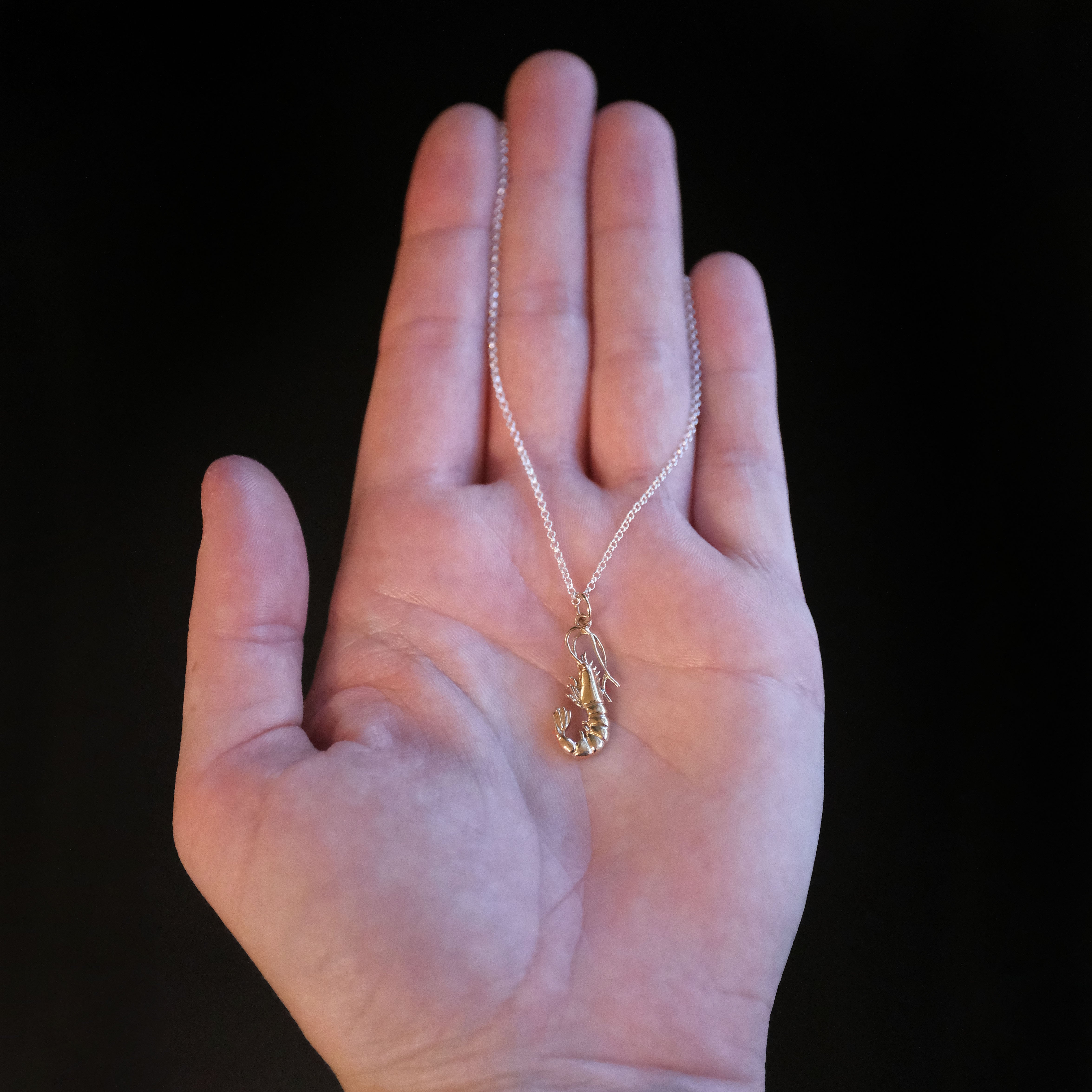 Bronze + Sterling Shrimpy Necklace