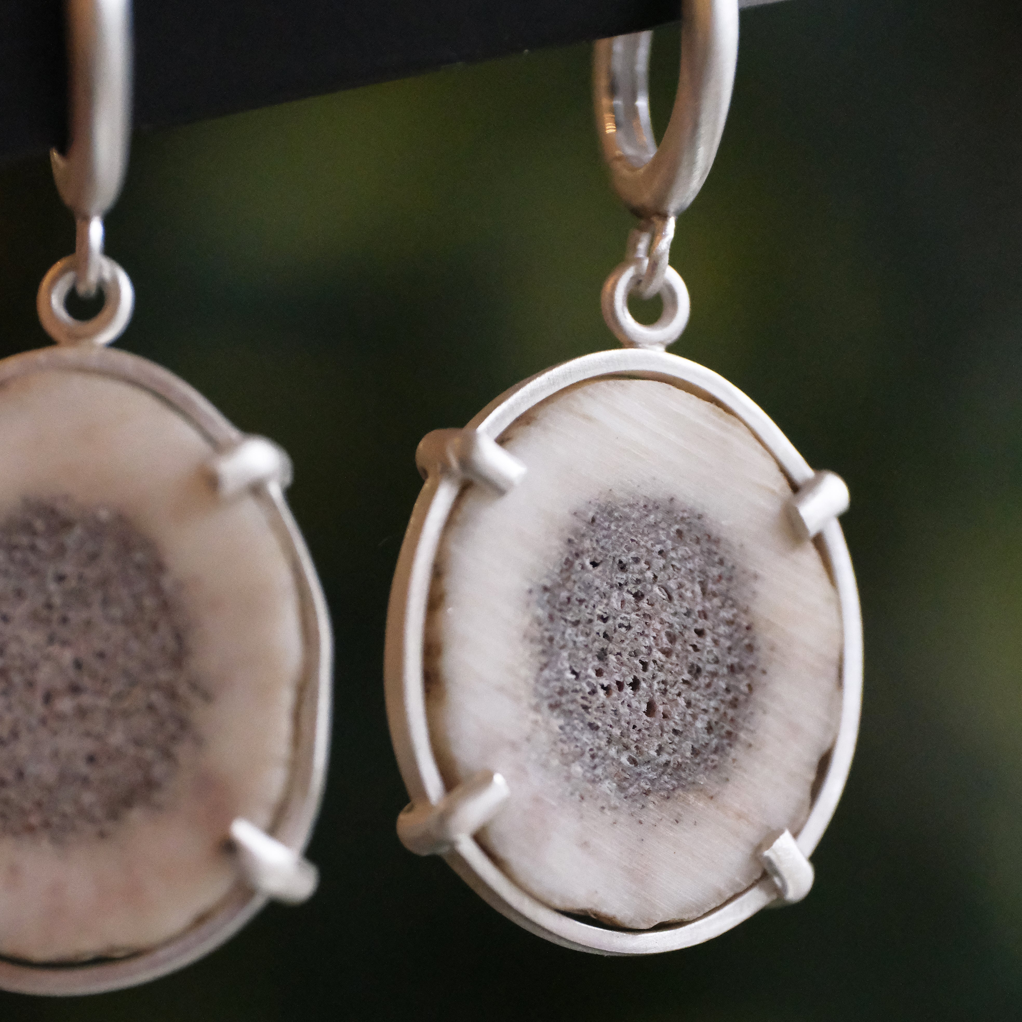 Marrow Elk Antler Earrings - One of a Kind
