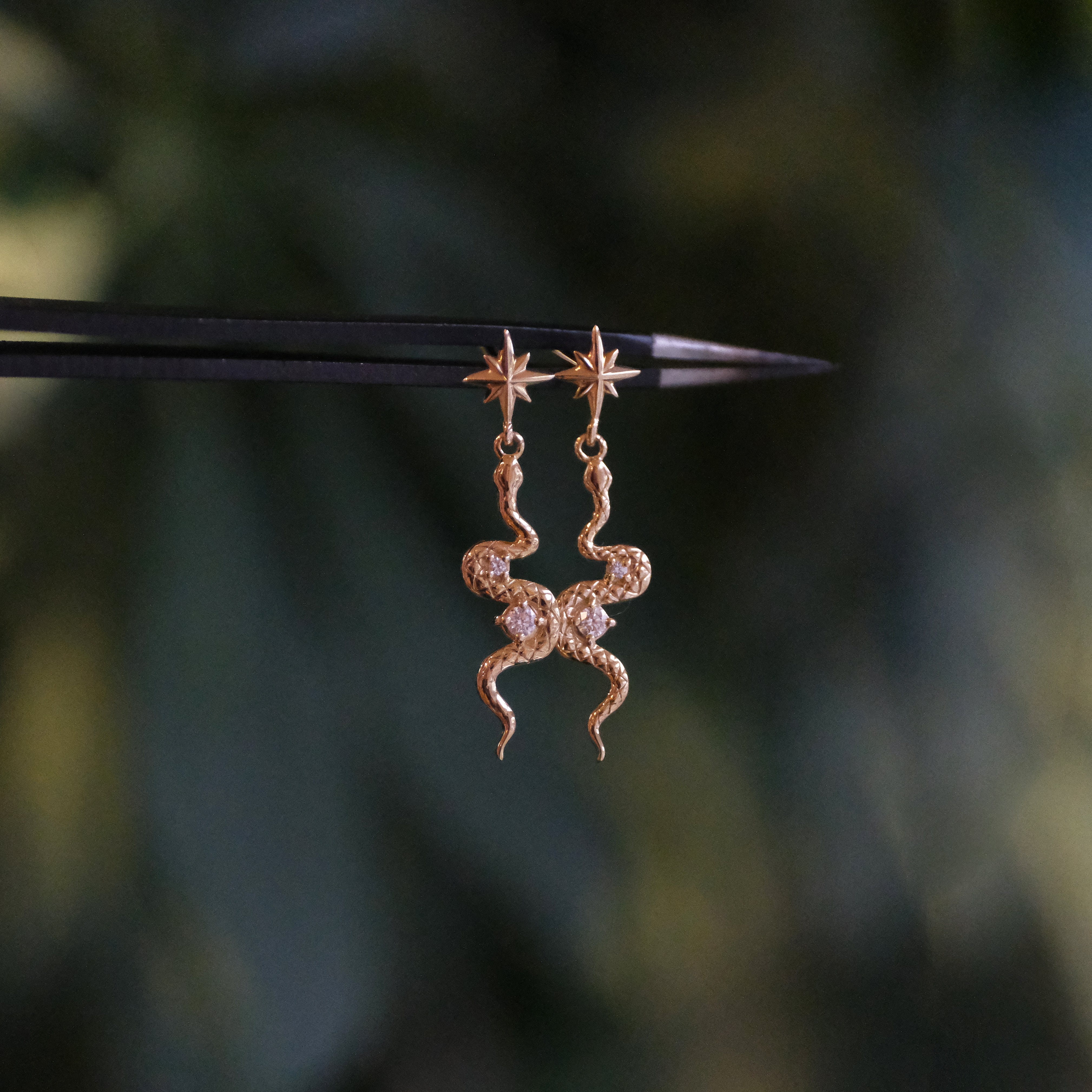 14k + Natural Diamond Asp Earrings