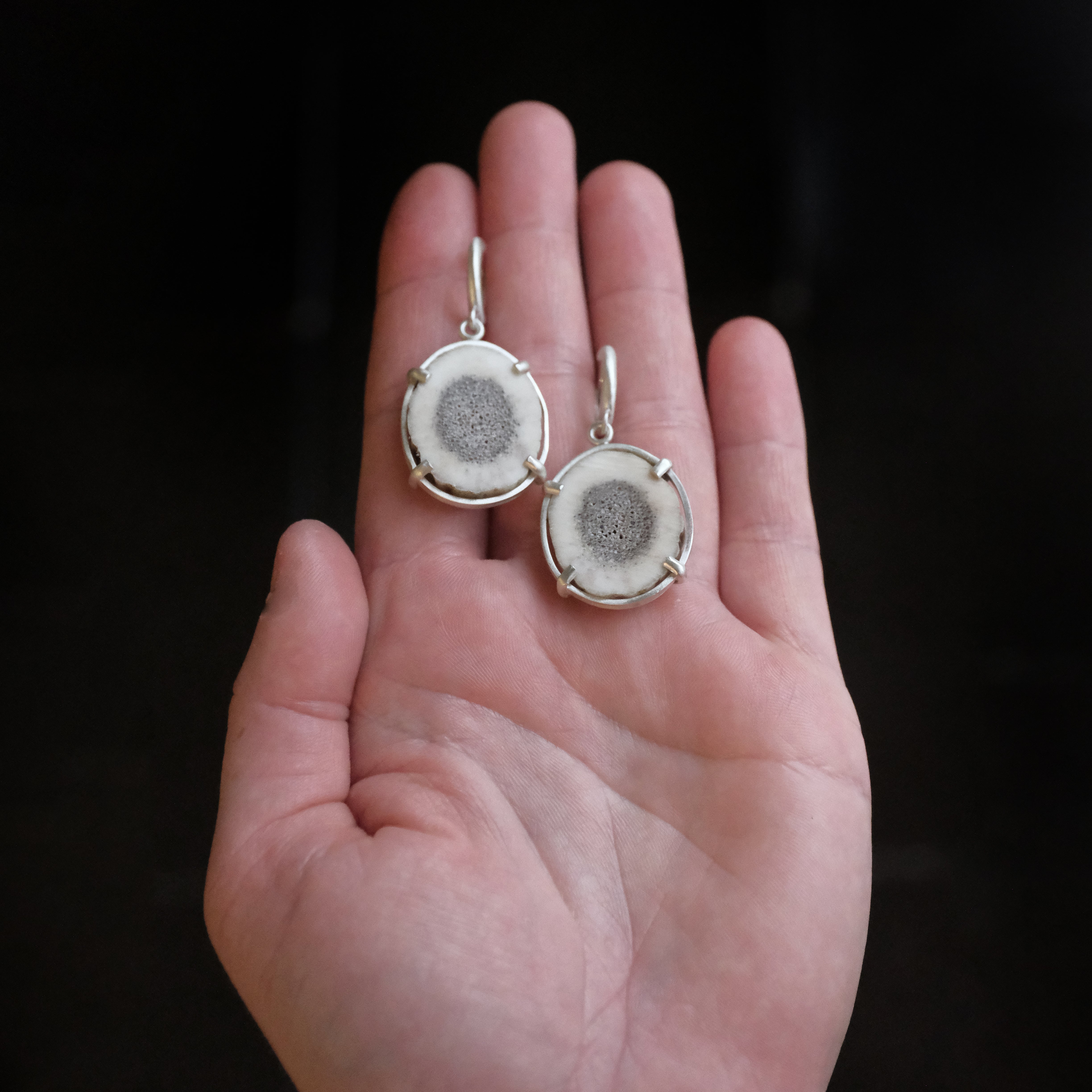 Marrow Elk Antler Earrings - One of a Kind