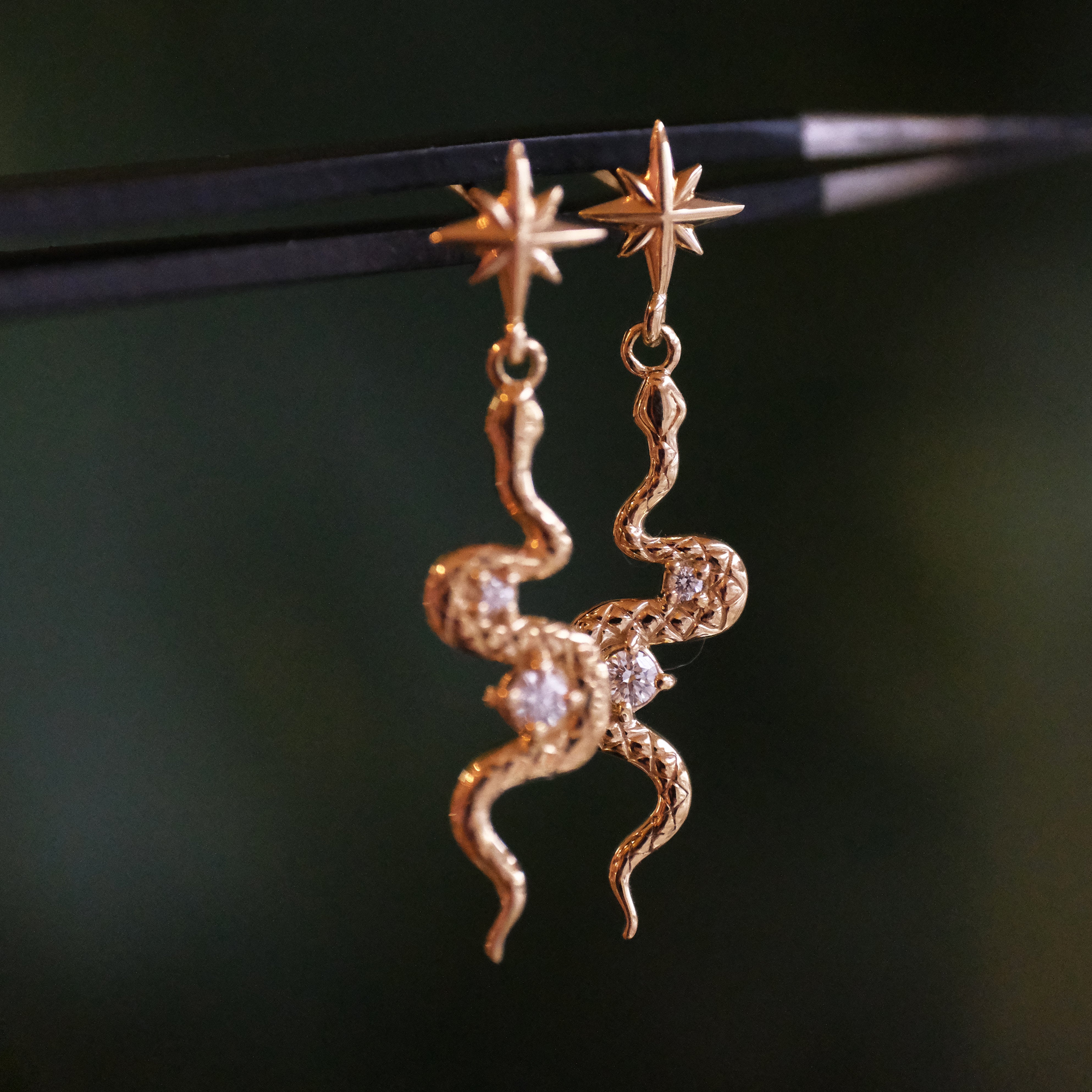 14k + Natural Diamond Asp Earrings
