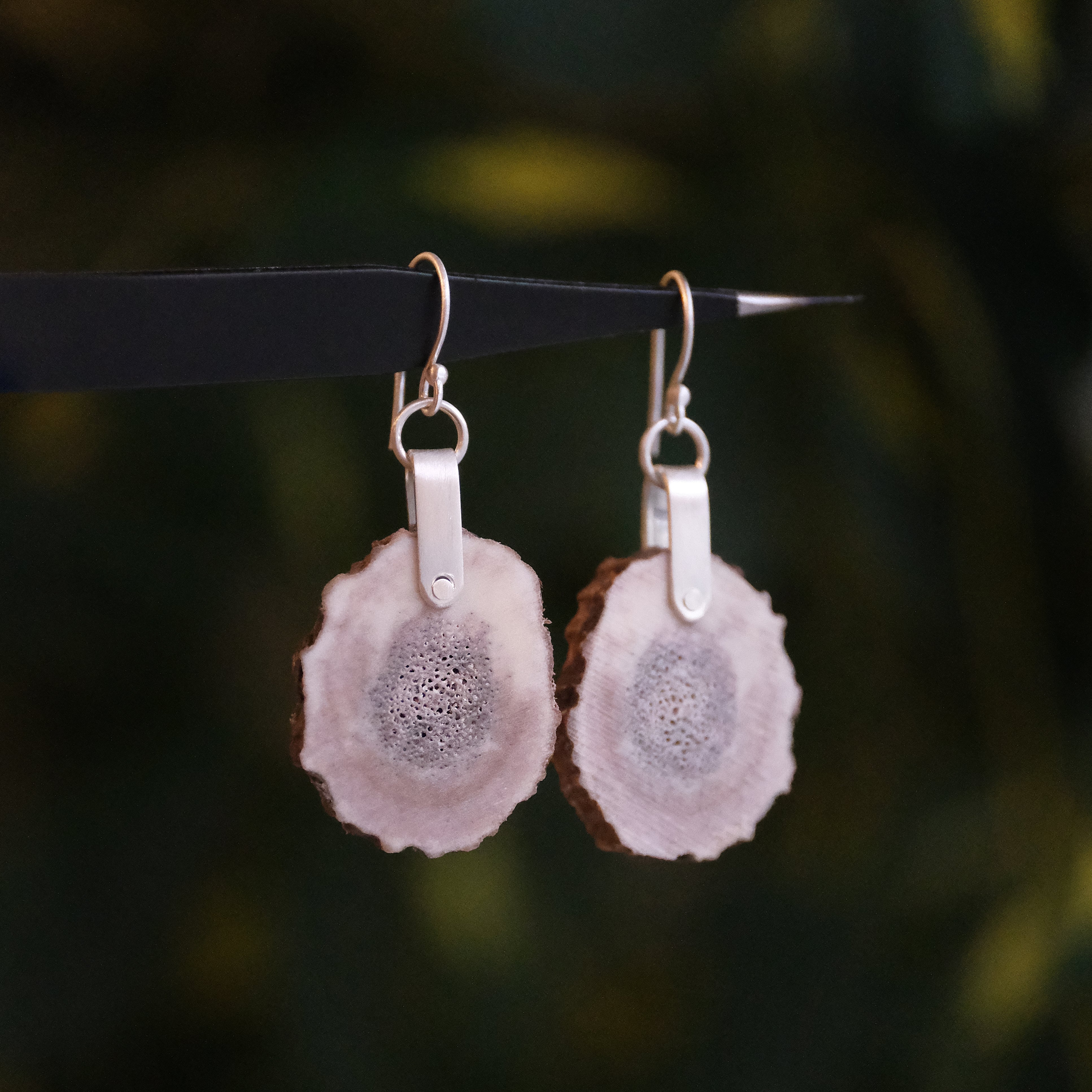 Elk Antler Saddle Earrings - One of a Kind