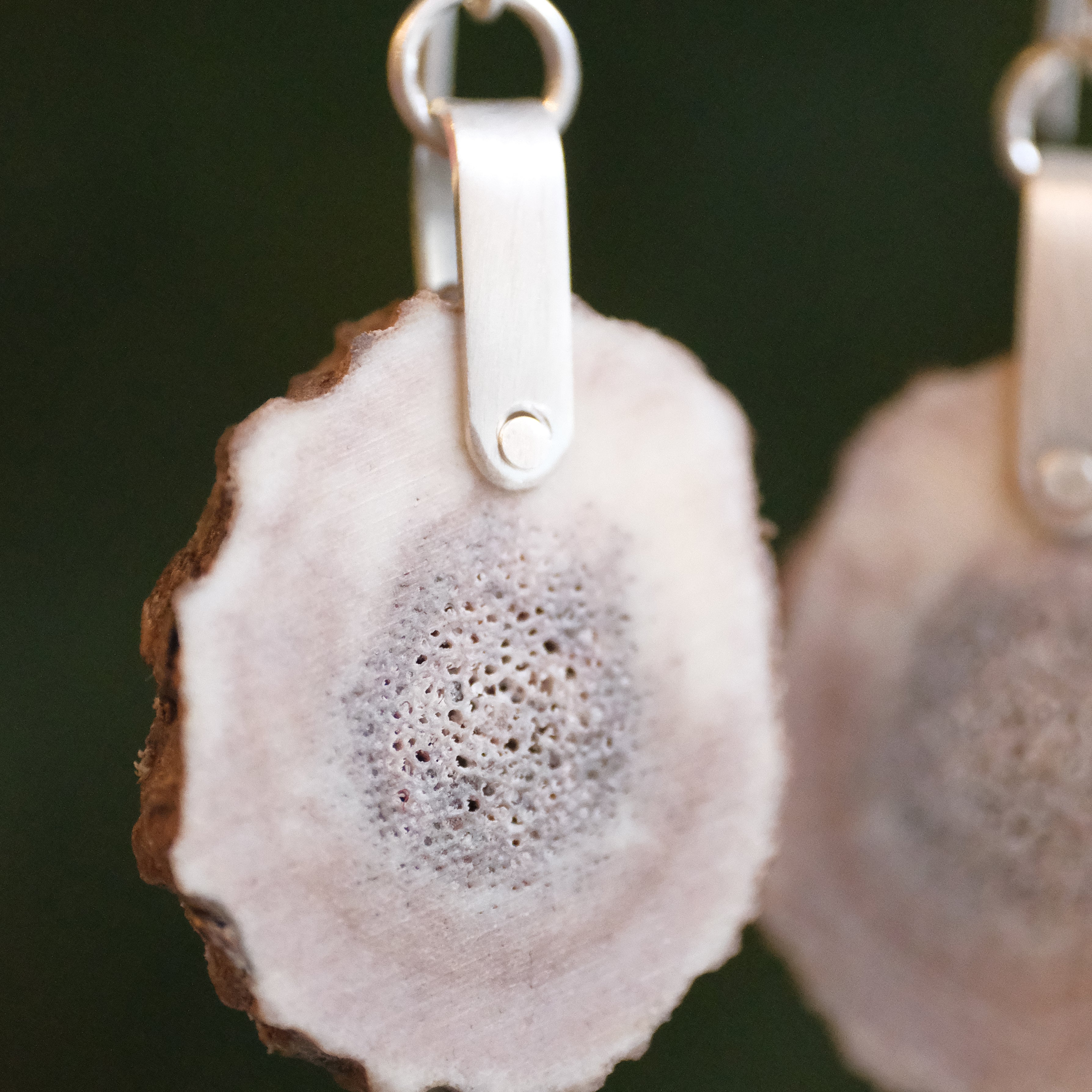 Elk Antler Saddle Earrings - One of a Kind