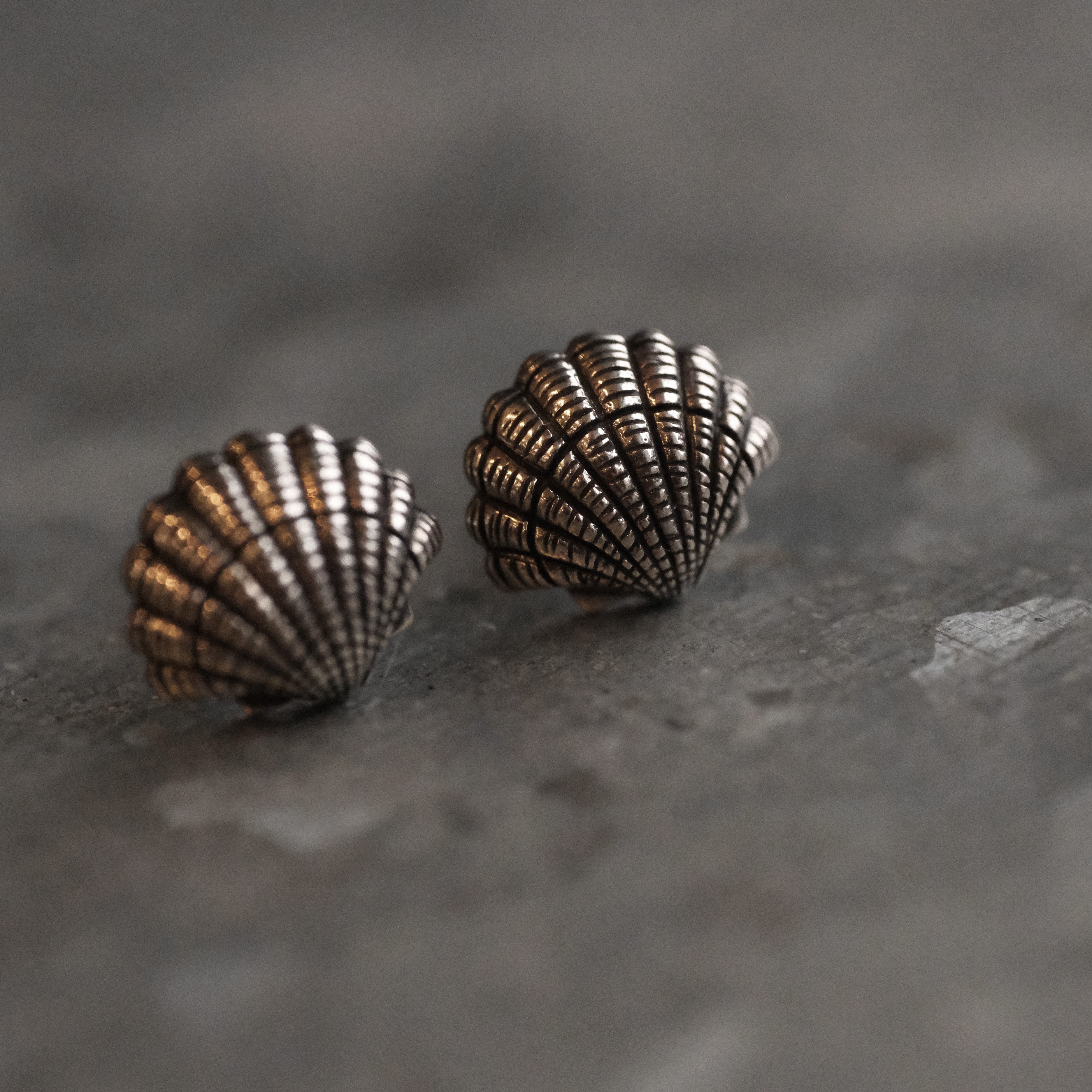 Sterling Scallop Shell Studs