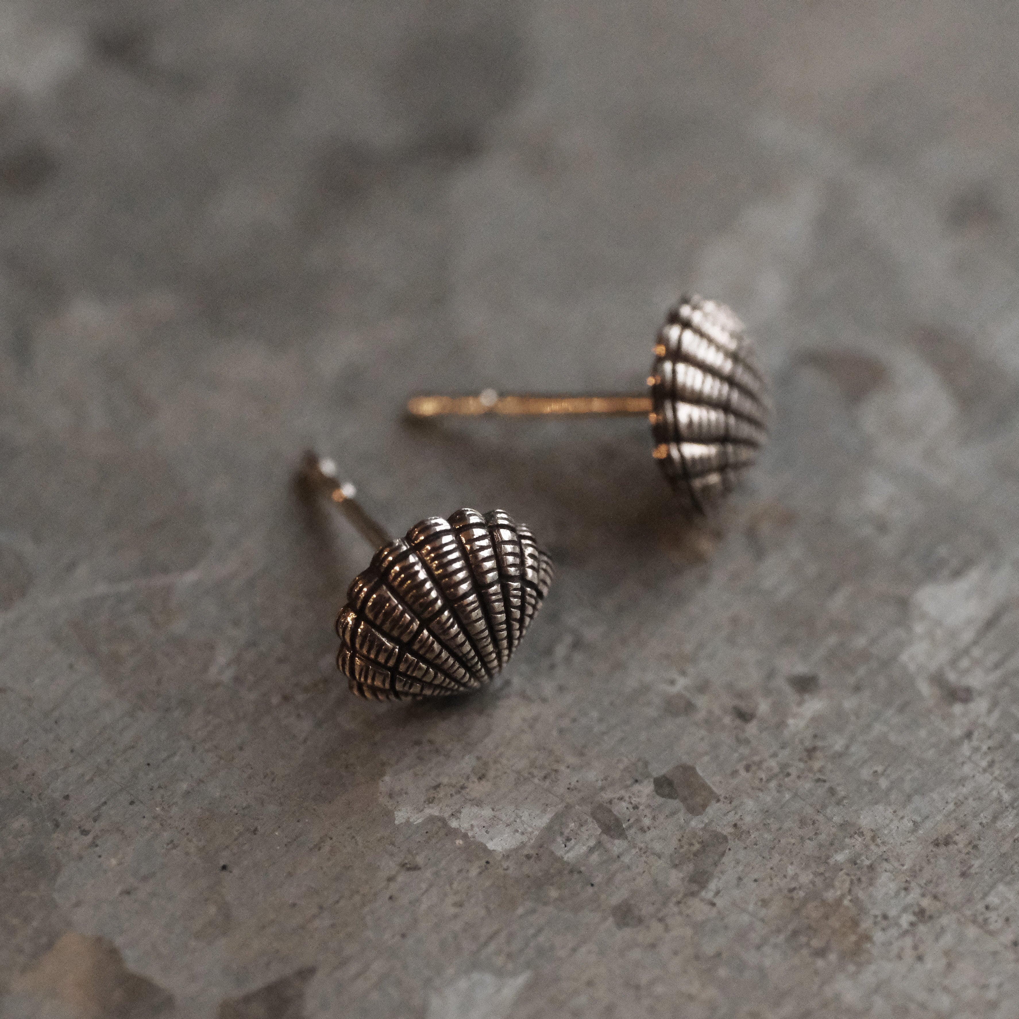 Sterling Scallop Shell Studs