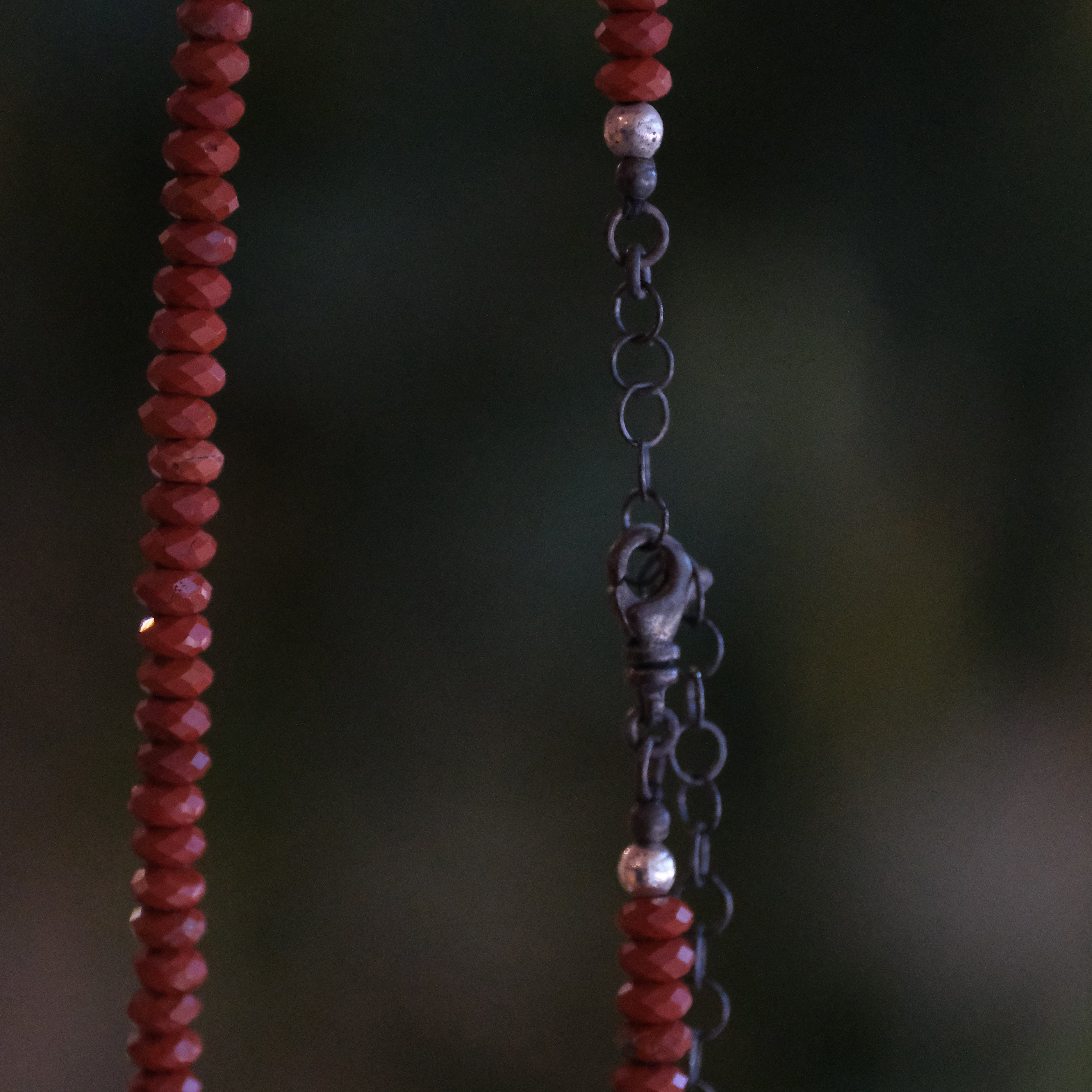 Red Jasper + Bronze Sardine Necklace
