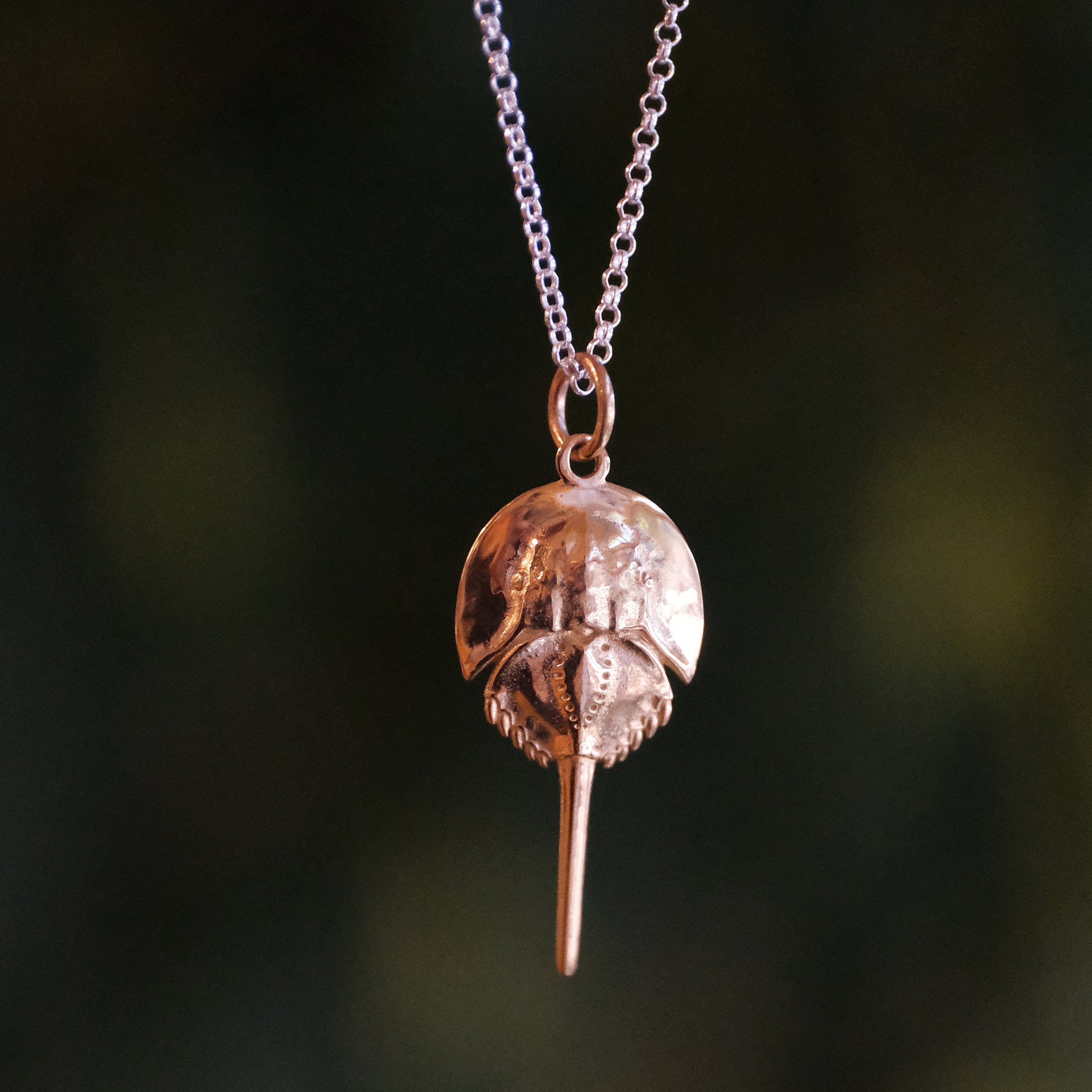 Bronze + Sterling Horseshoe Crab Necklace