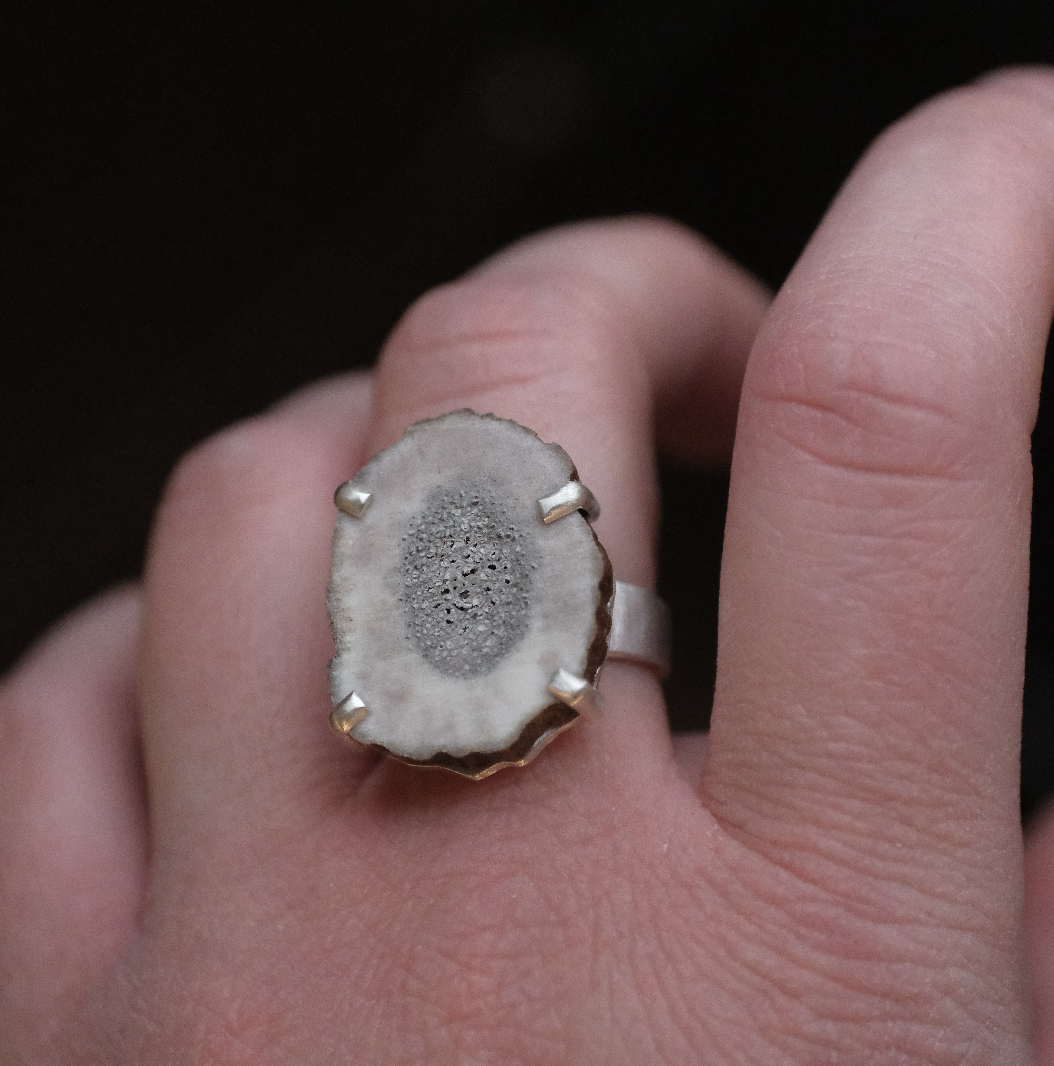 Marrow Elk Antler Ring (Size 7.5) - One of a Kind