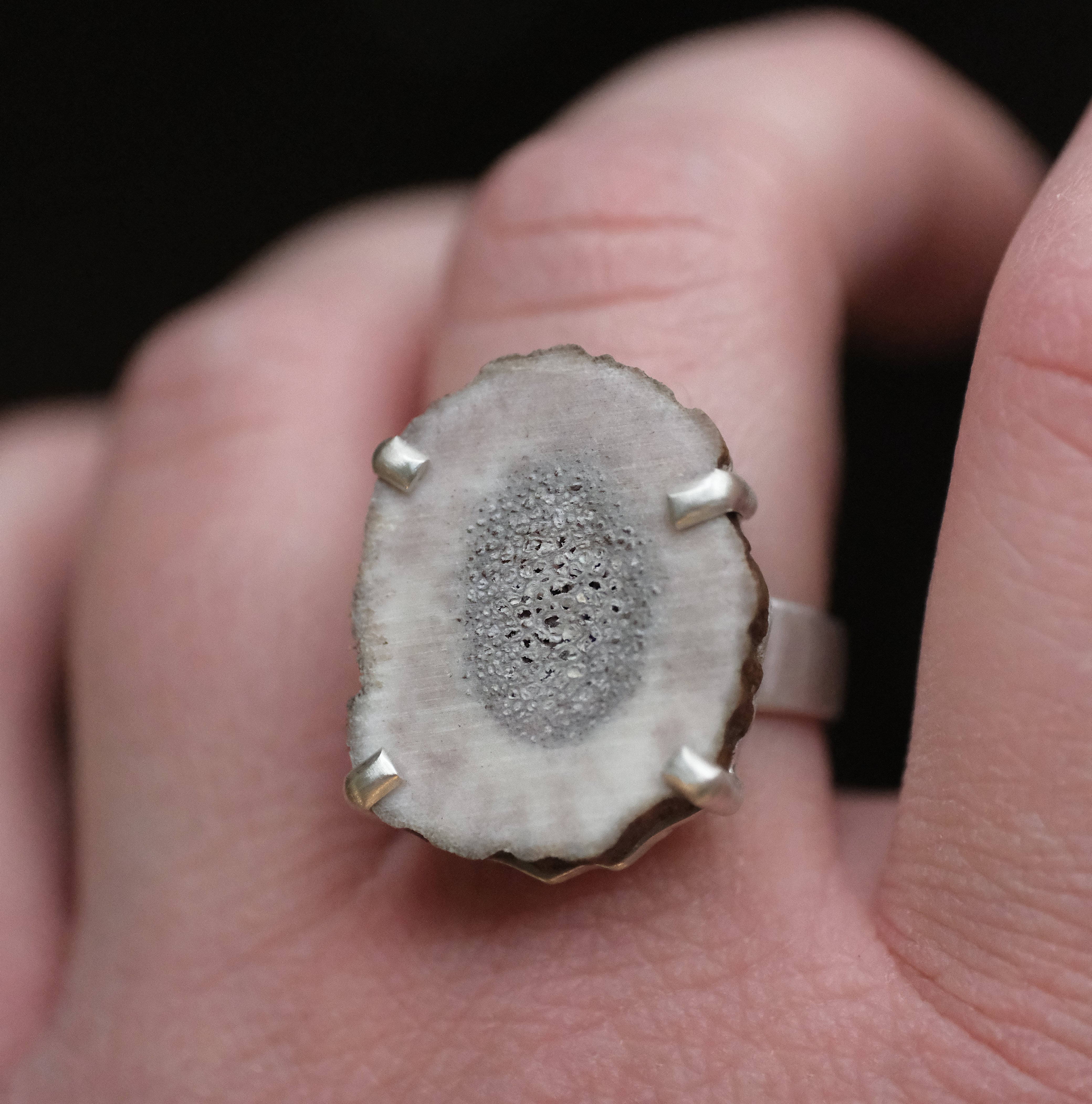 Marrow Elk Antler Ring (Size 7.5) - One of a Kind