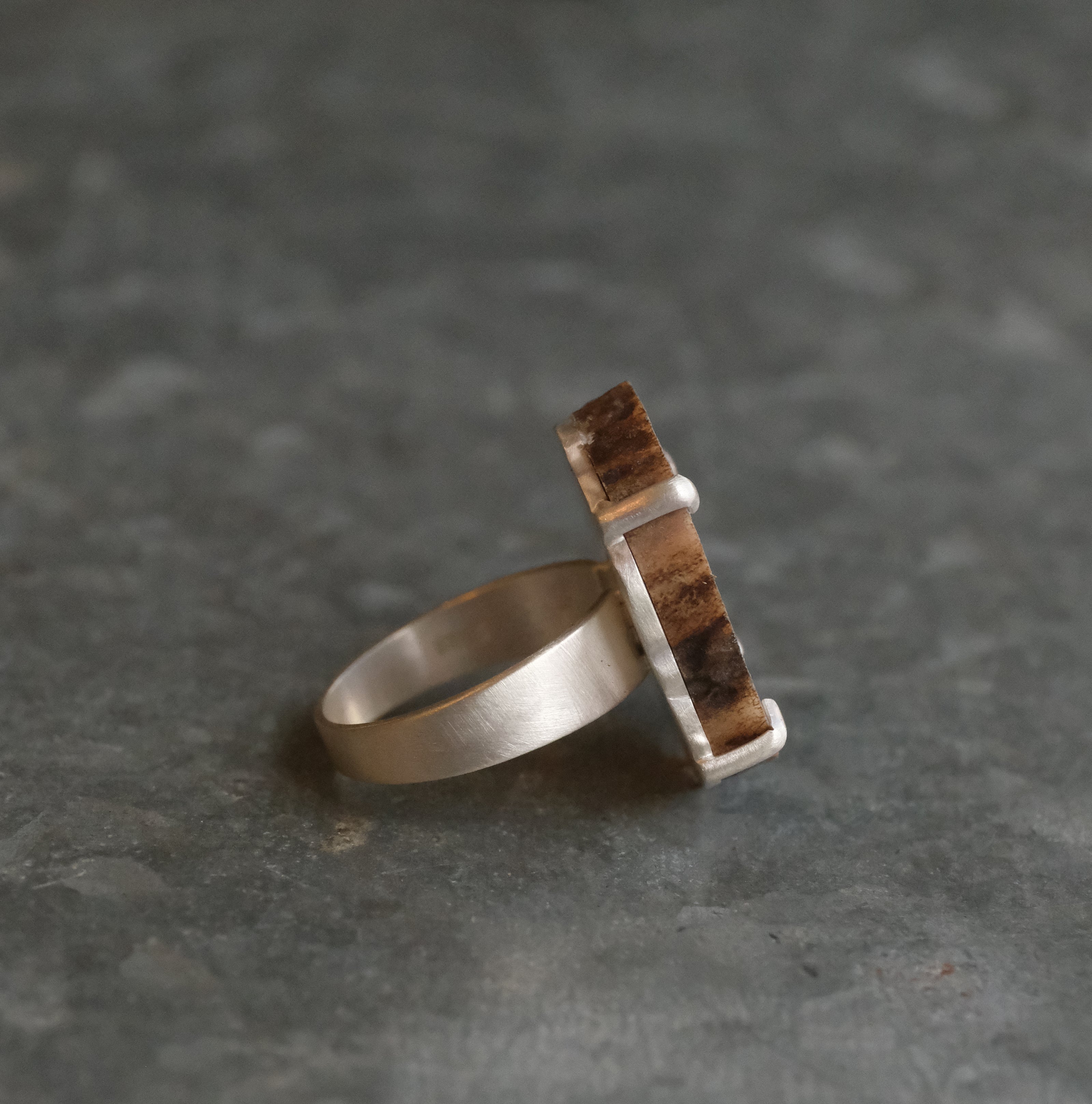 Marrow Elk Antler Ring (Size 7.5) - One of a Kind