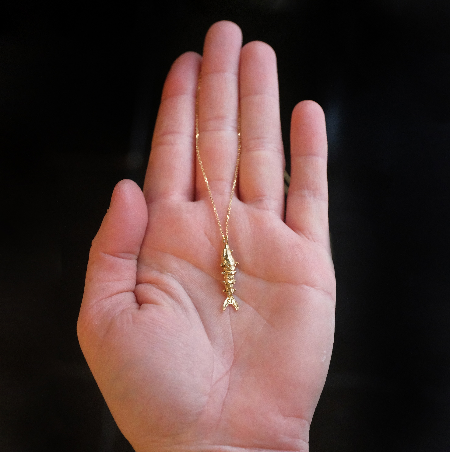14k Sardine Necklace