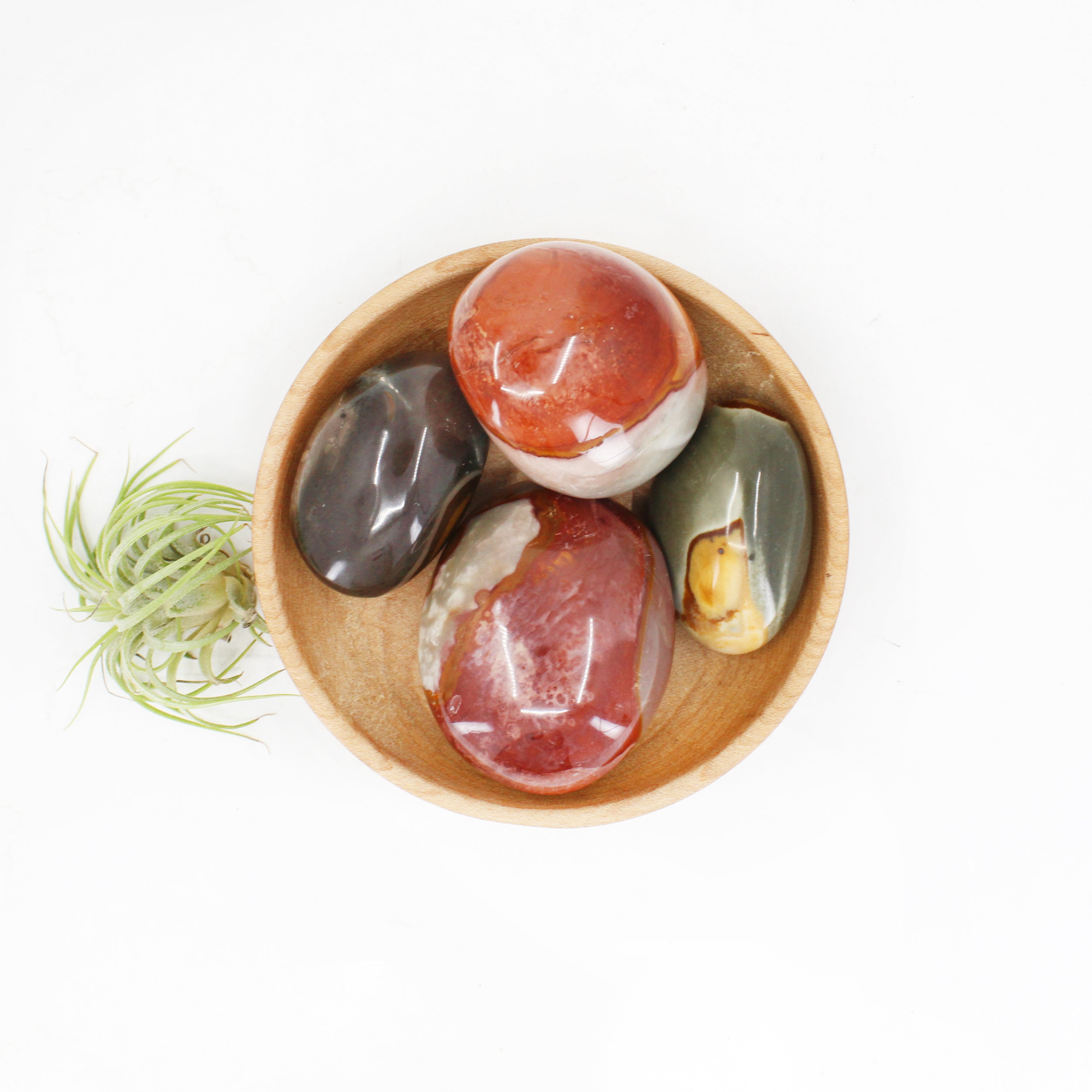 Desert Jasper Palm Stone