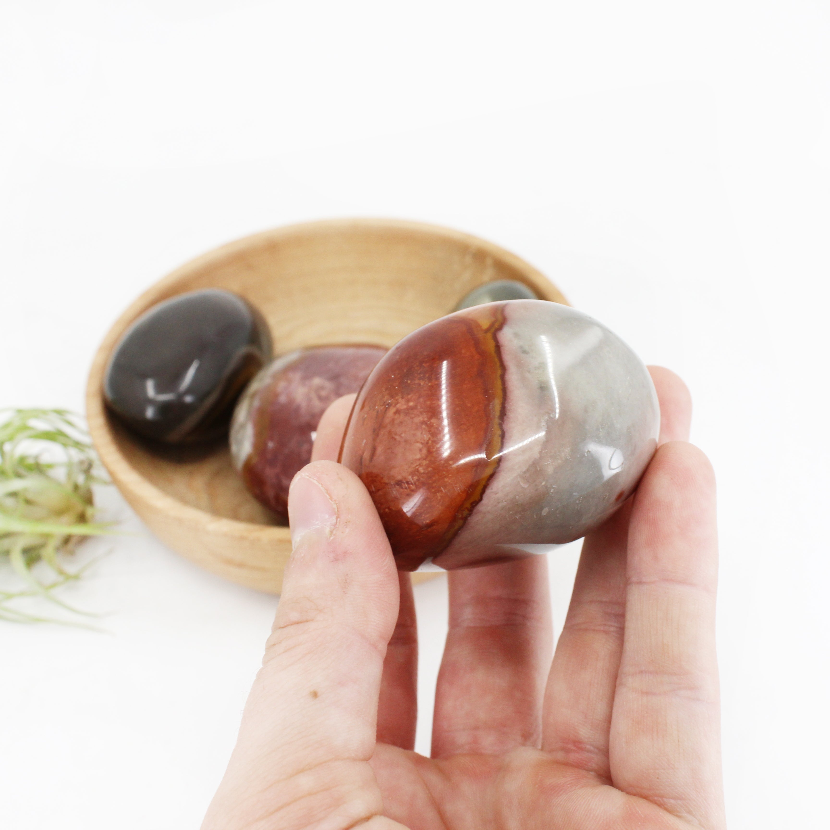 Desert Jasper Palm Stone