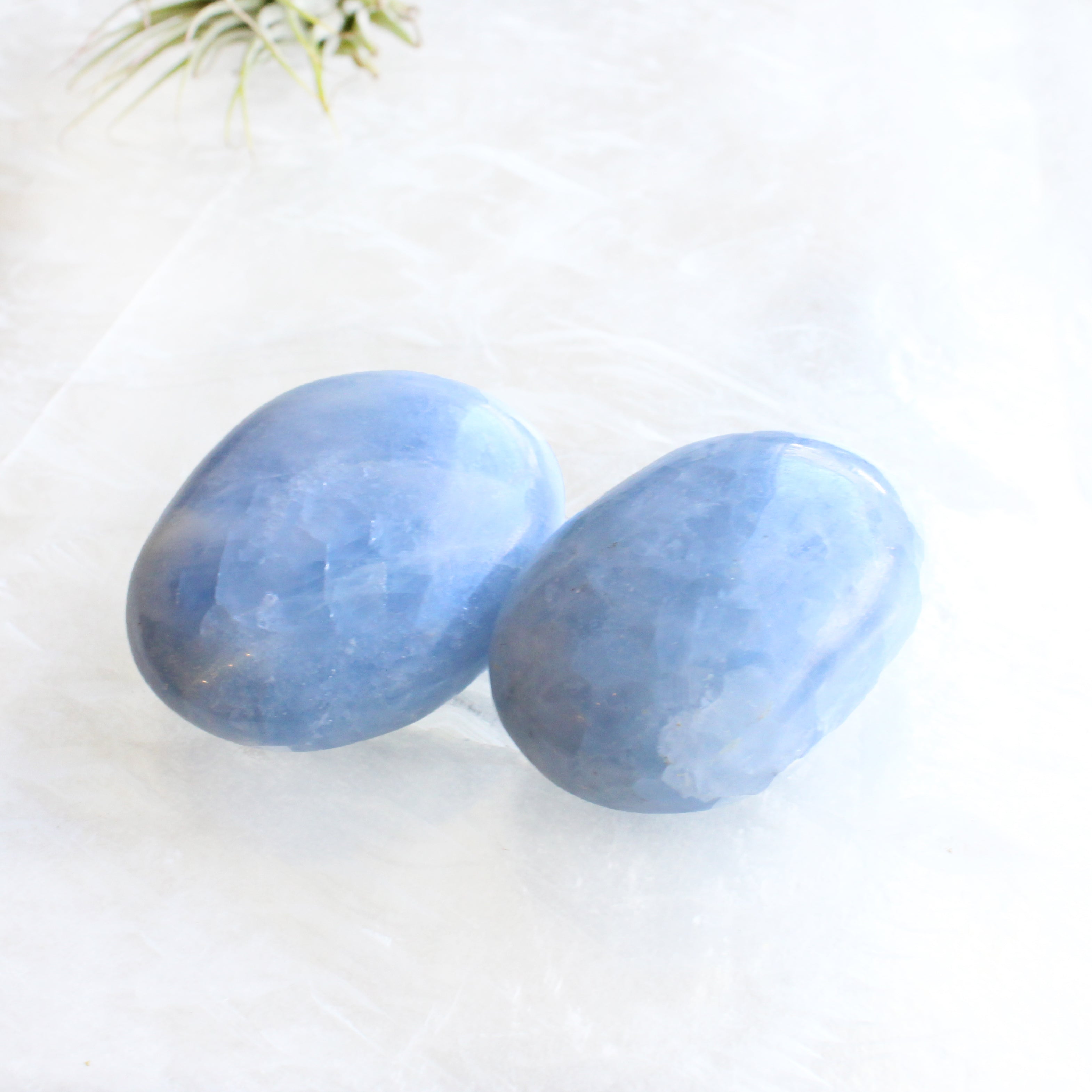 Celestite Palm Stone