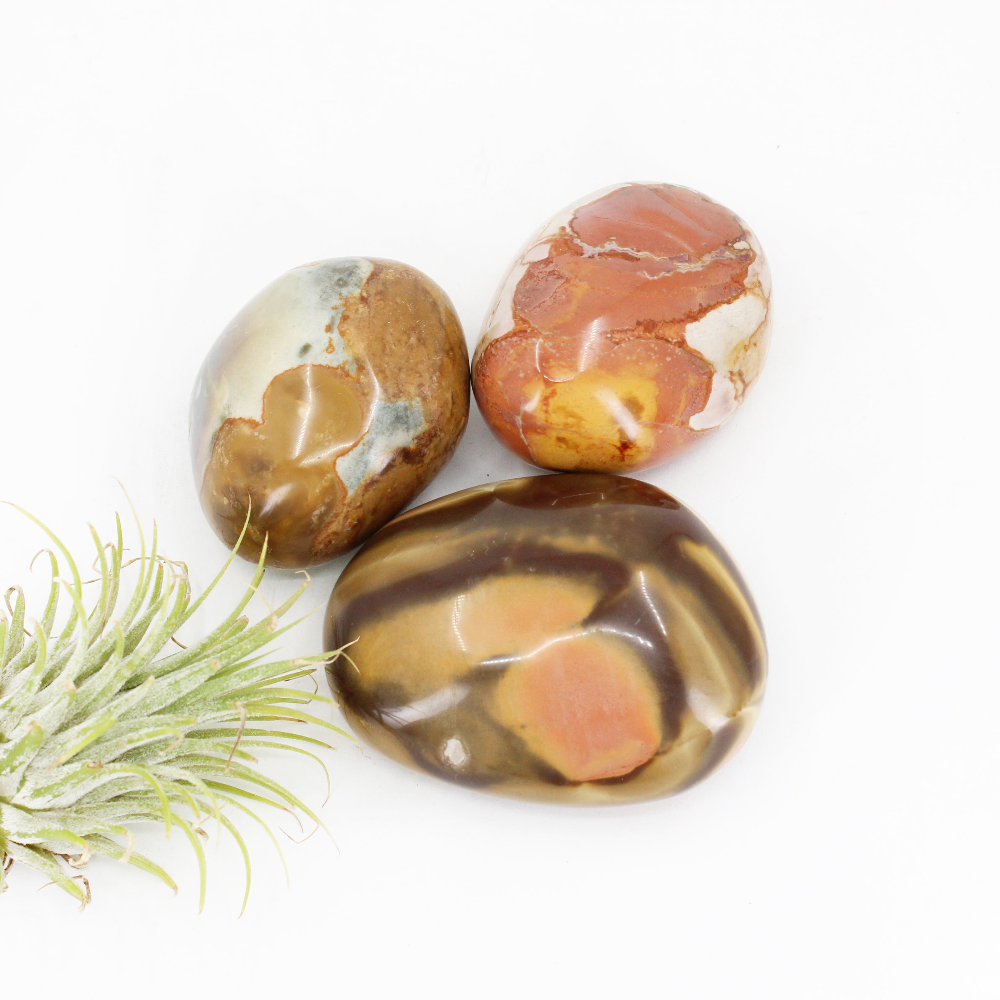 Desert Jasper Palm Stone
