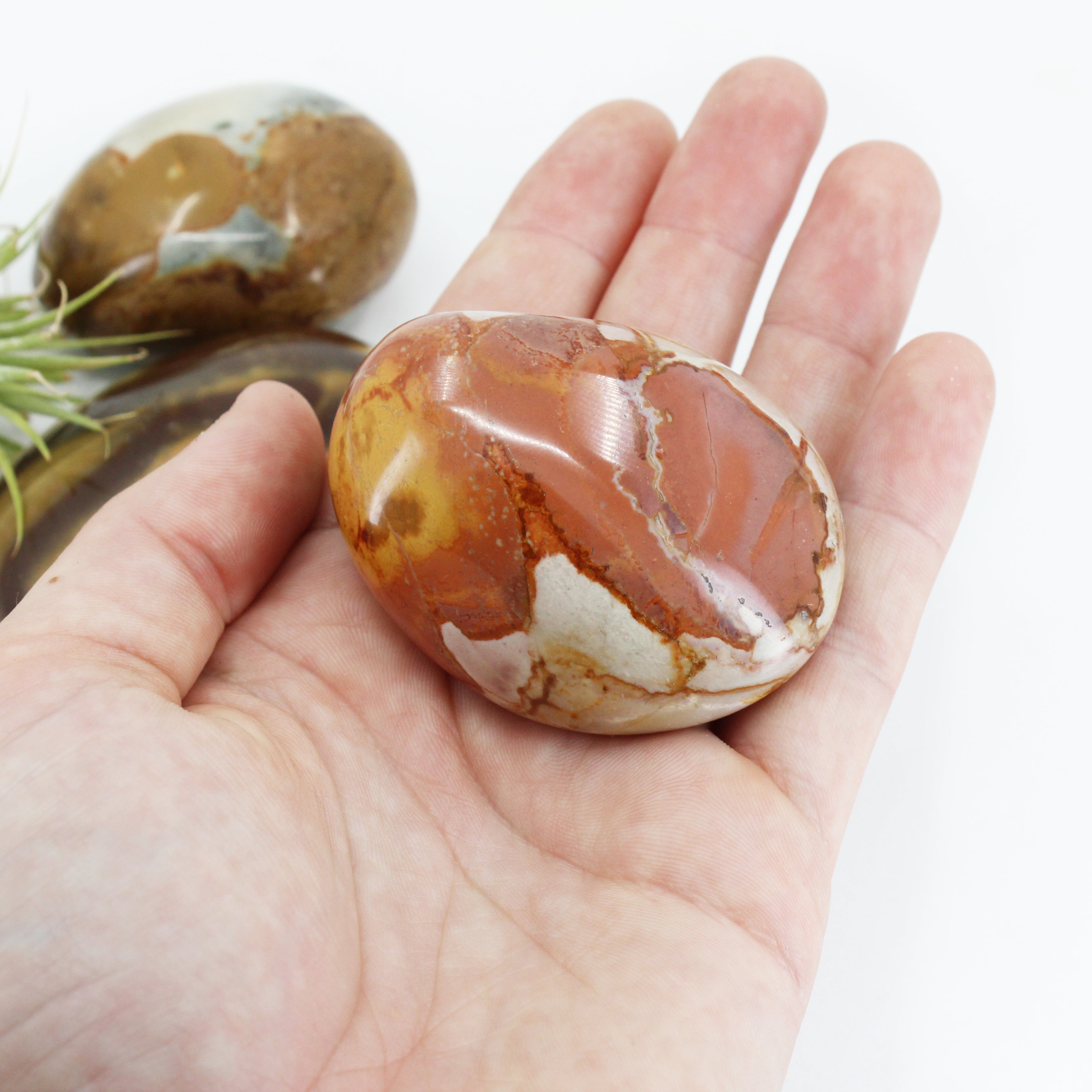 Desert Jasper Palm Stone