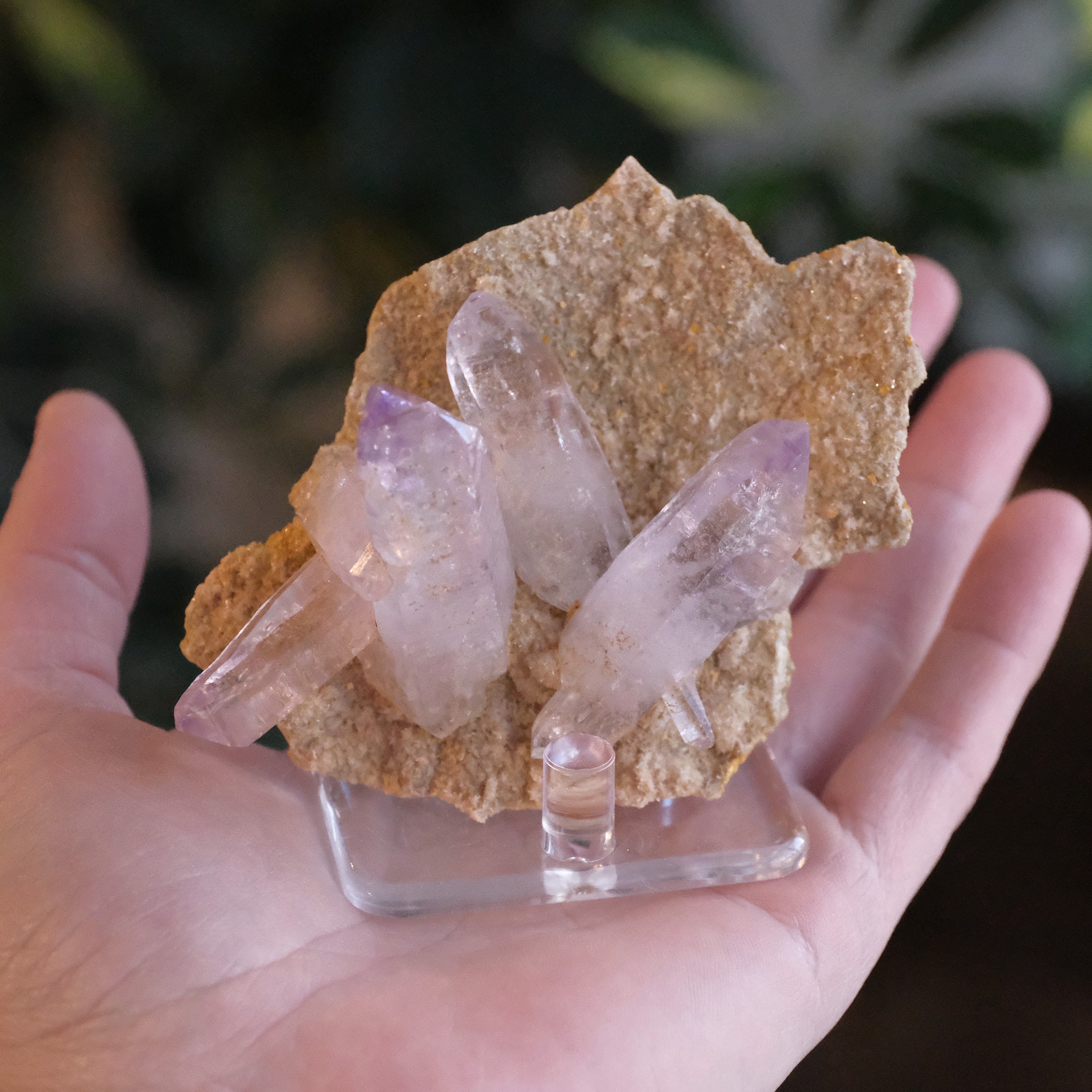 Mexican Vera Cruz Amethyst Specimen