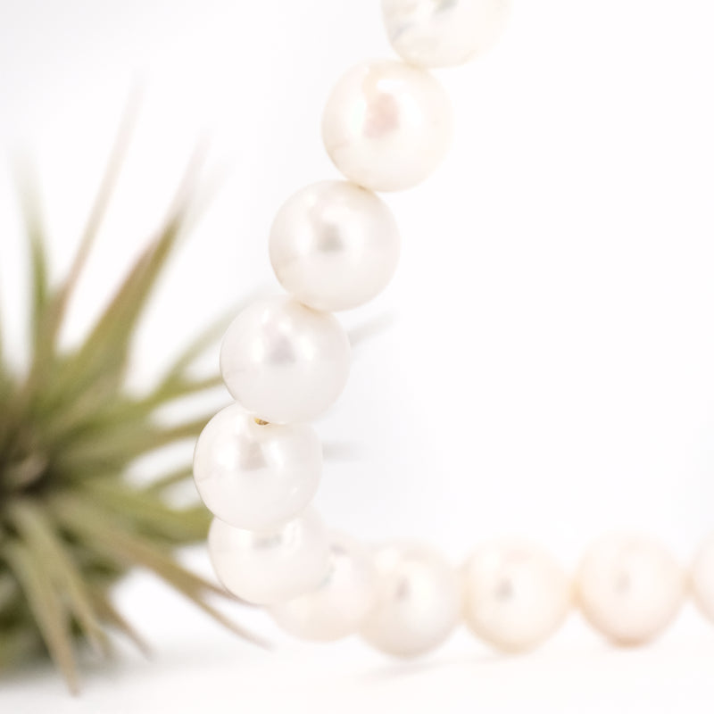 Argent Pearl + Sterling Necklace - One of a Kind