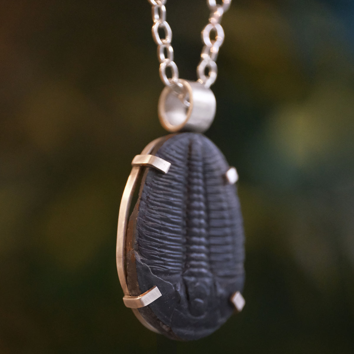 Trilobite Fossil Midnight Necklace - One of a Kind