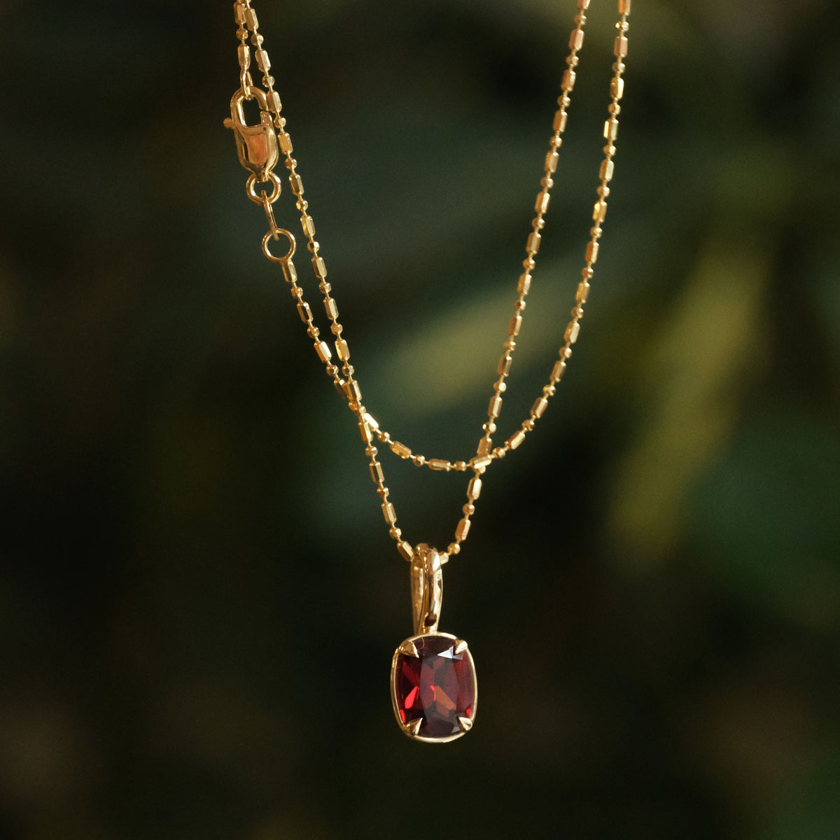 14k + Garnet Lioncourt Necklace