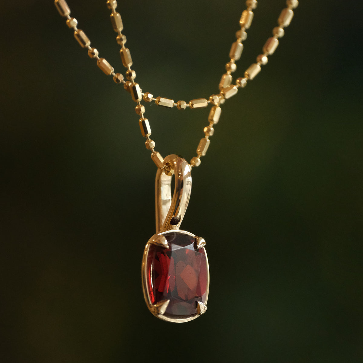 14k + Garnet Lioncourt Necklace