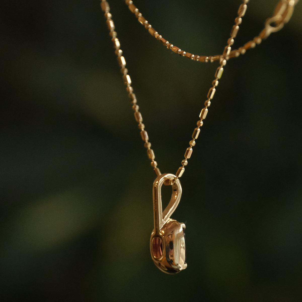 14k + Garnet Lioncourt Necklace