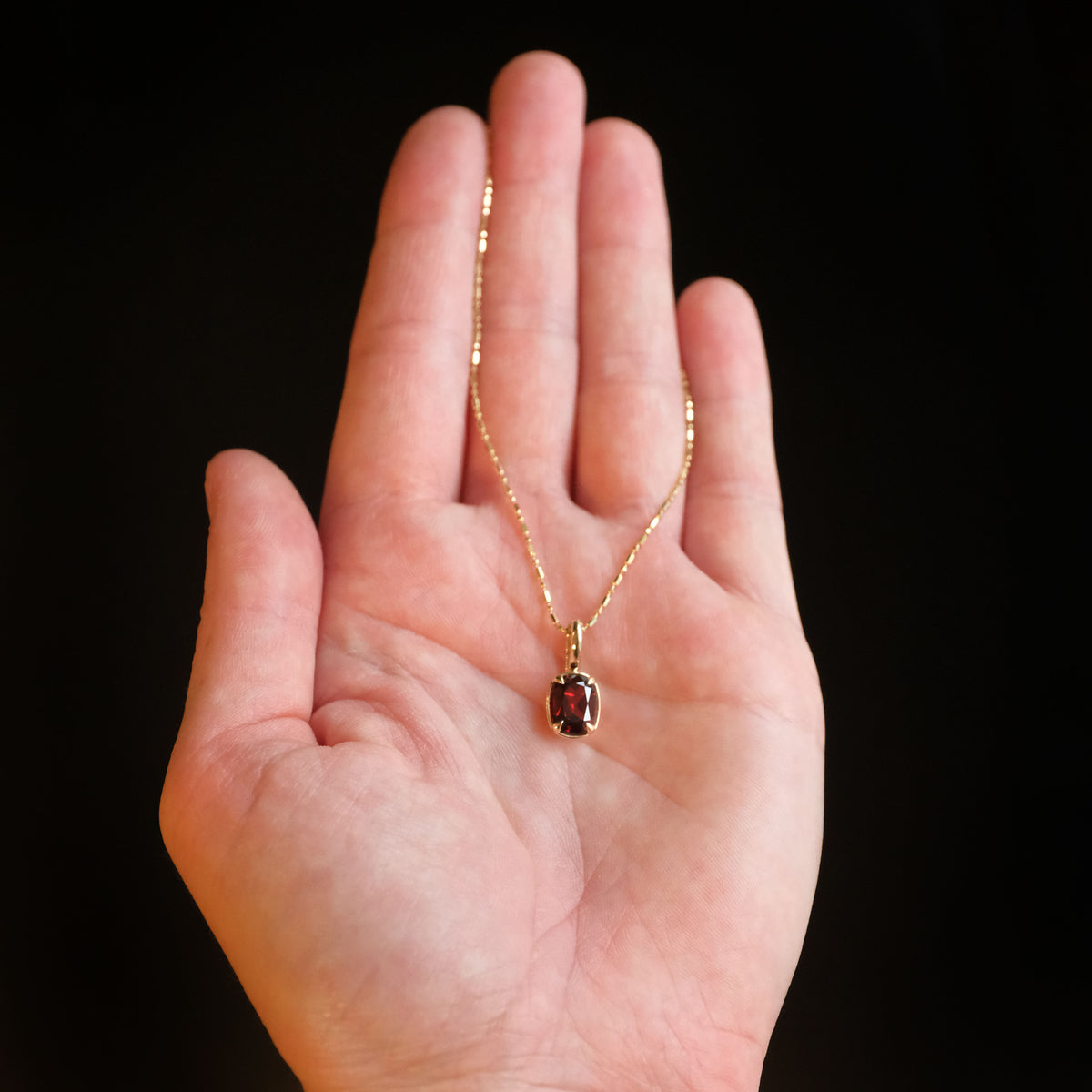 14k + Garnet Lioncourt Necklace