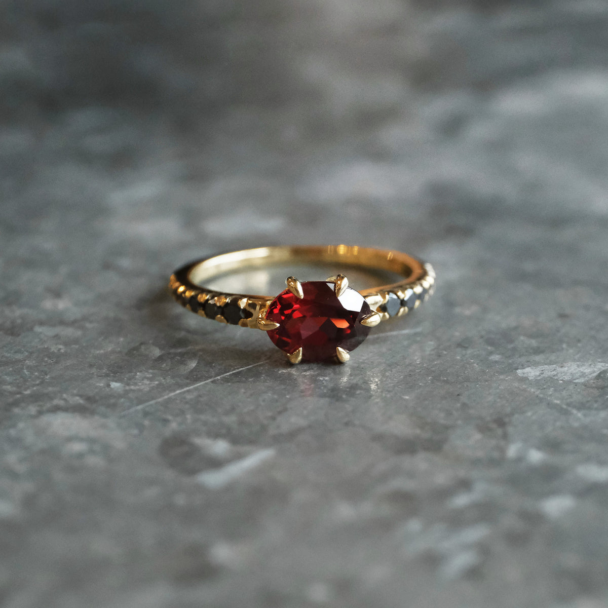 14k Garnet + Black Diamond Lioncourt Ring