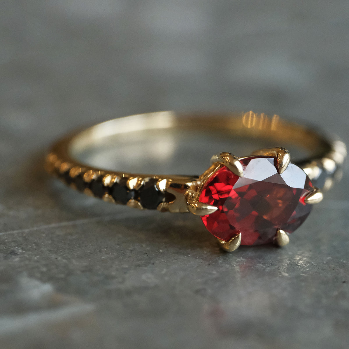 14k Garnet + Black Diamond Lioncourt Ring