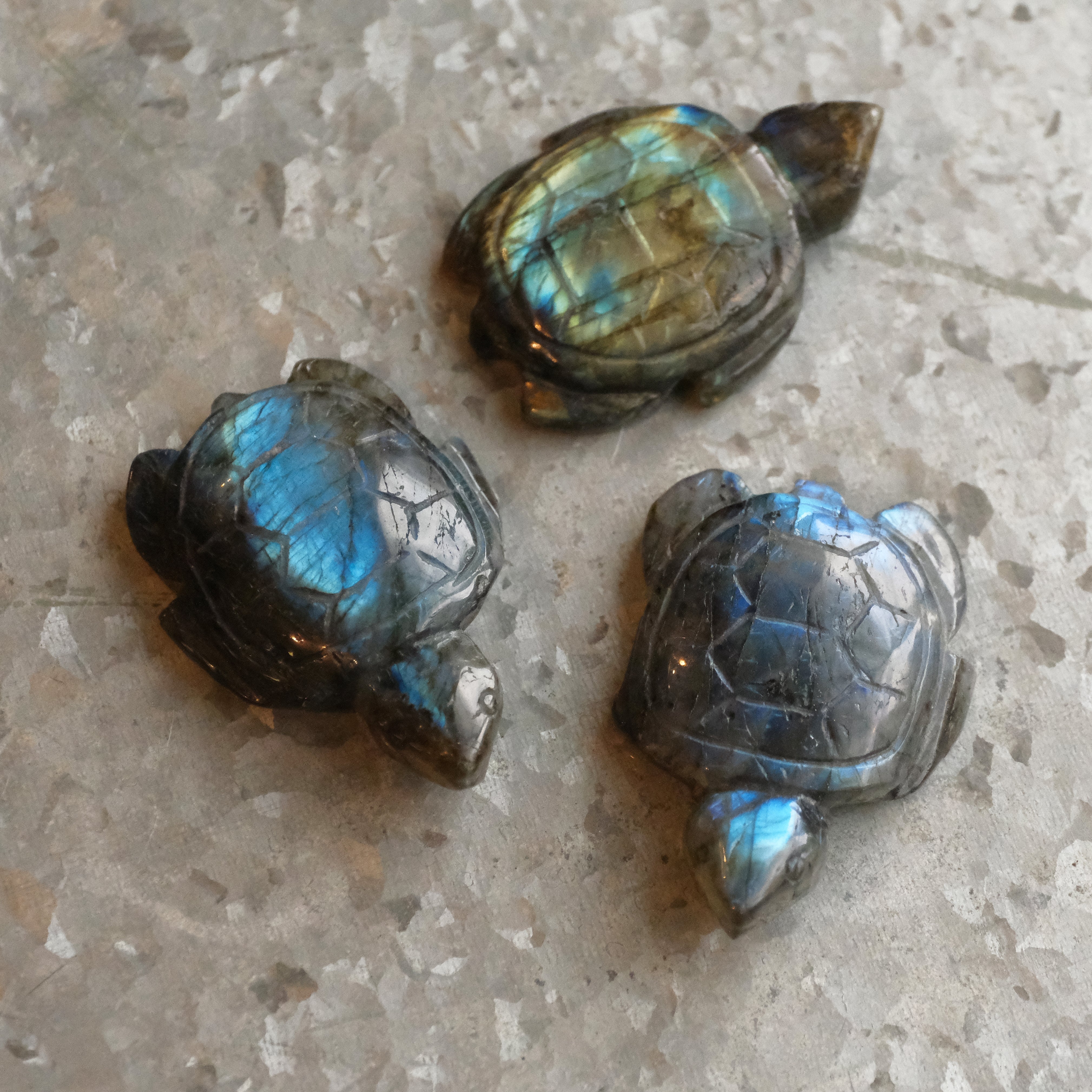 Hand Carved Labradorite Turtle