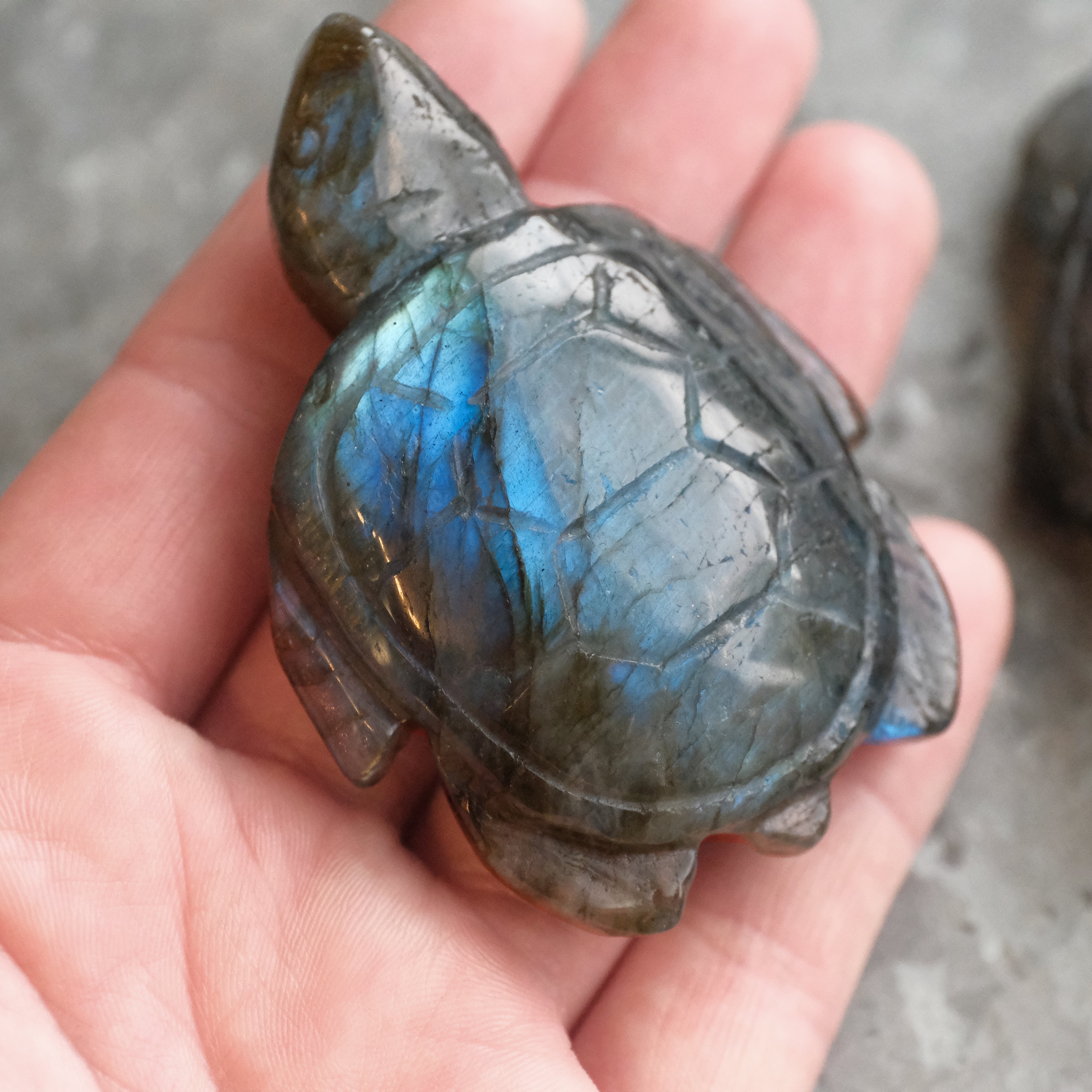 Hand Carved Labradorite Turtle