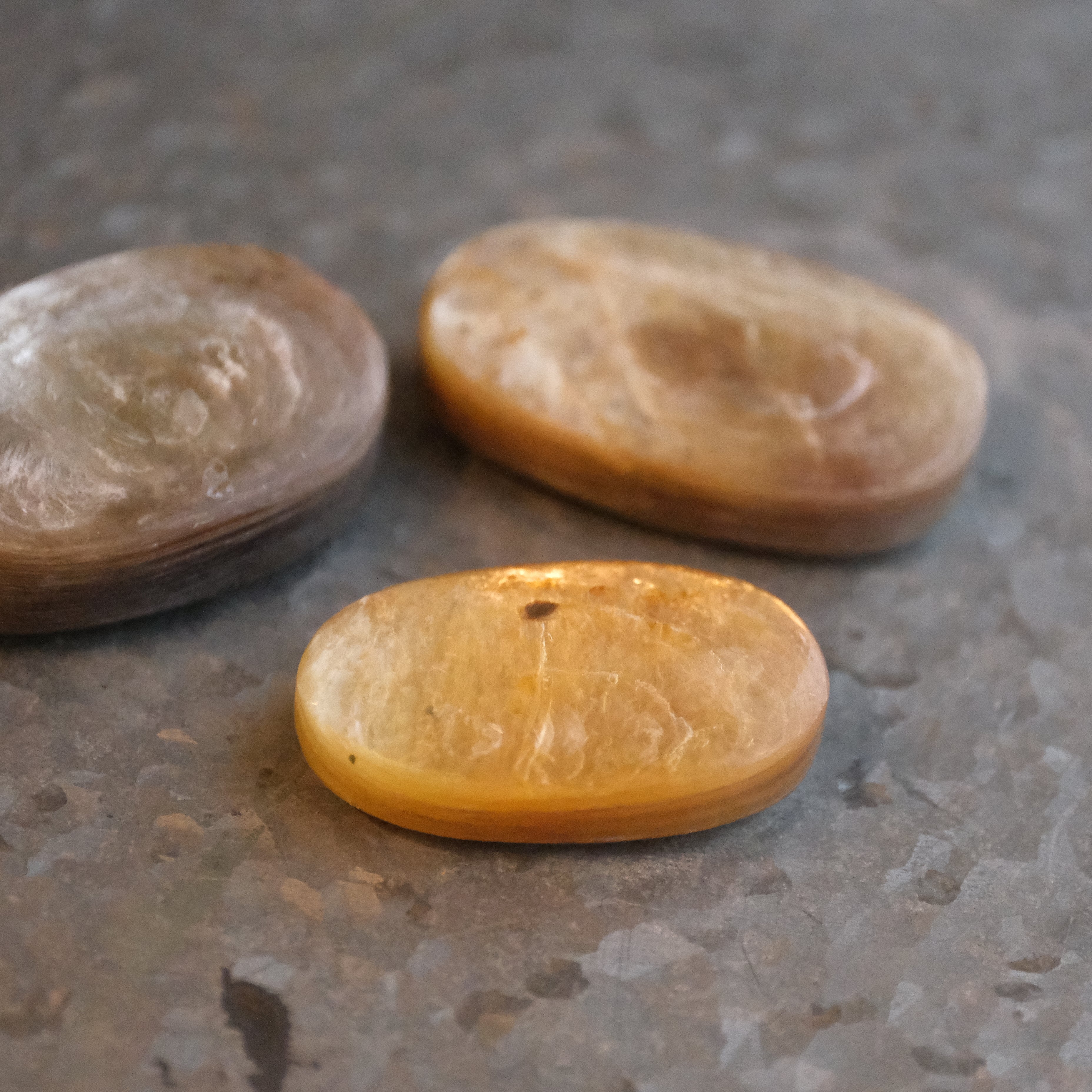 Golden Mica Palm Stone