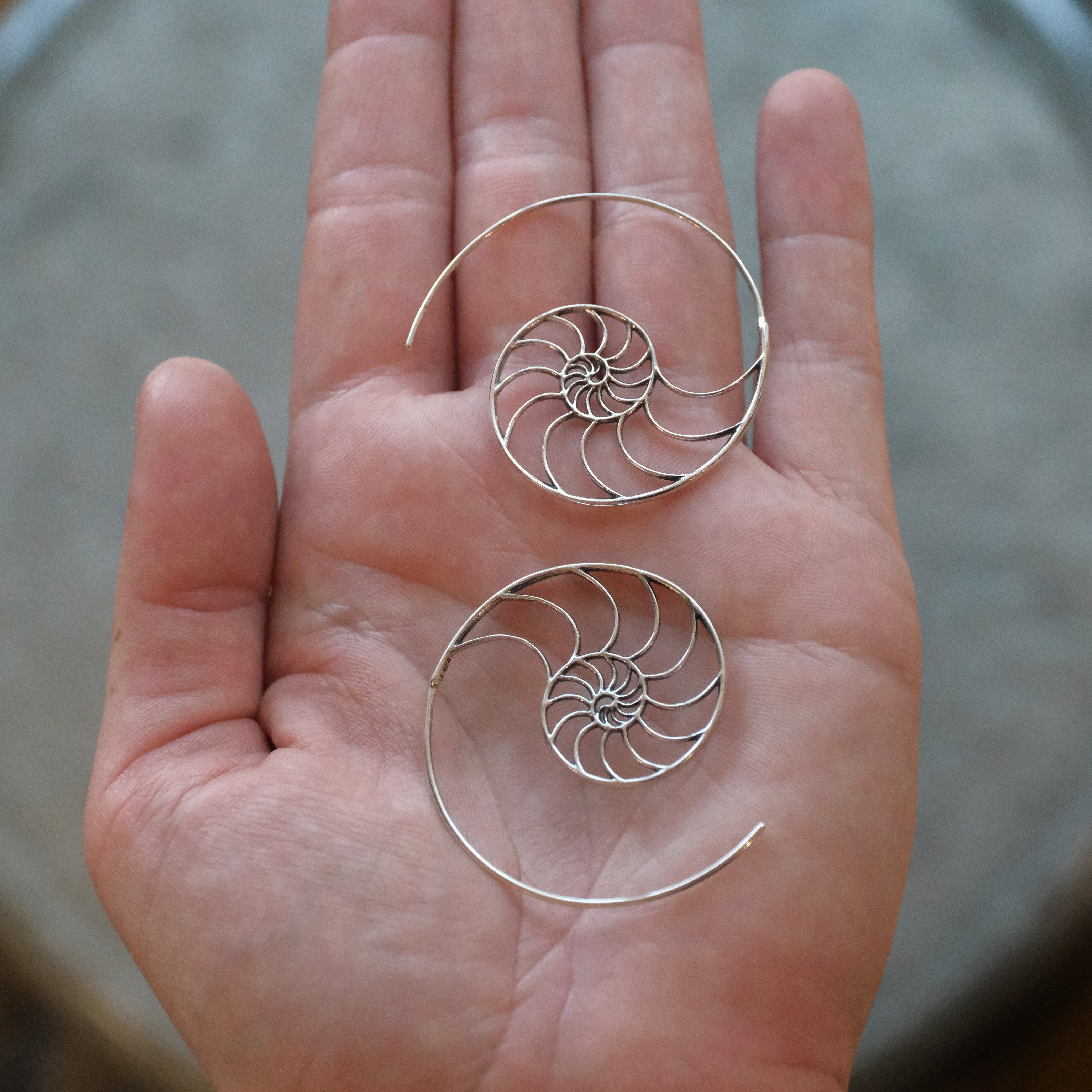 Fibonacci Sterling Earrings