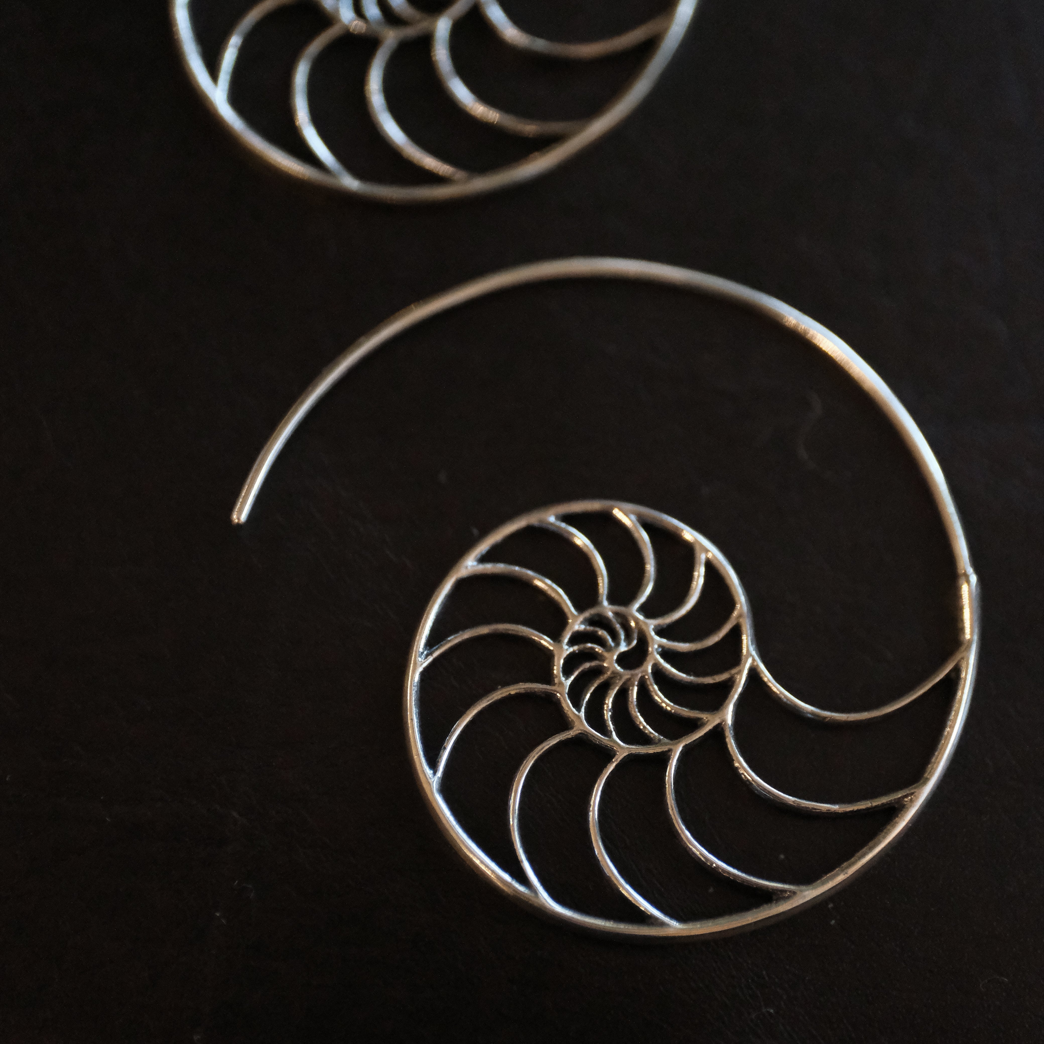 Fibonacci Sterling Earrings